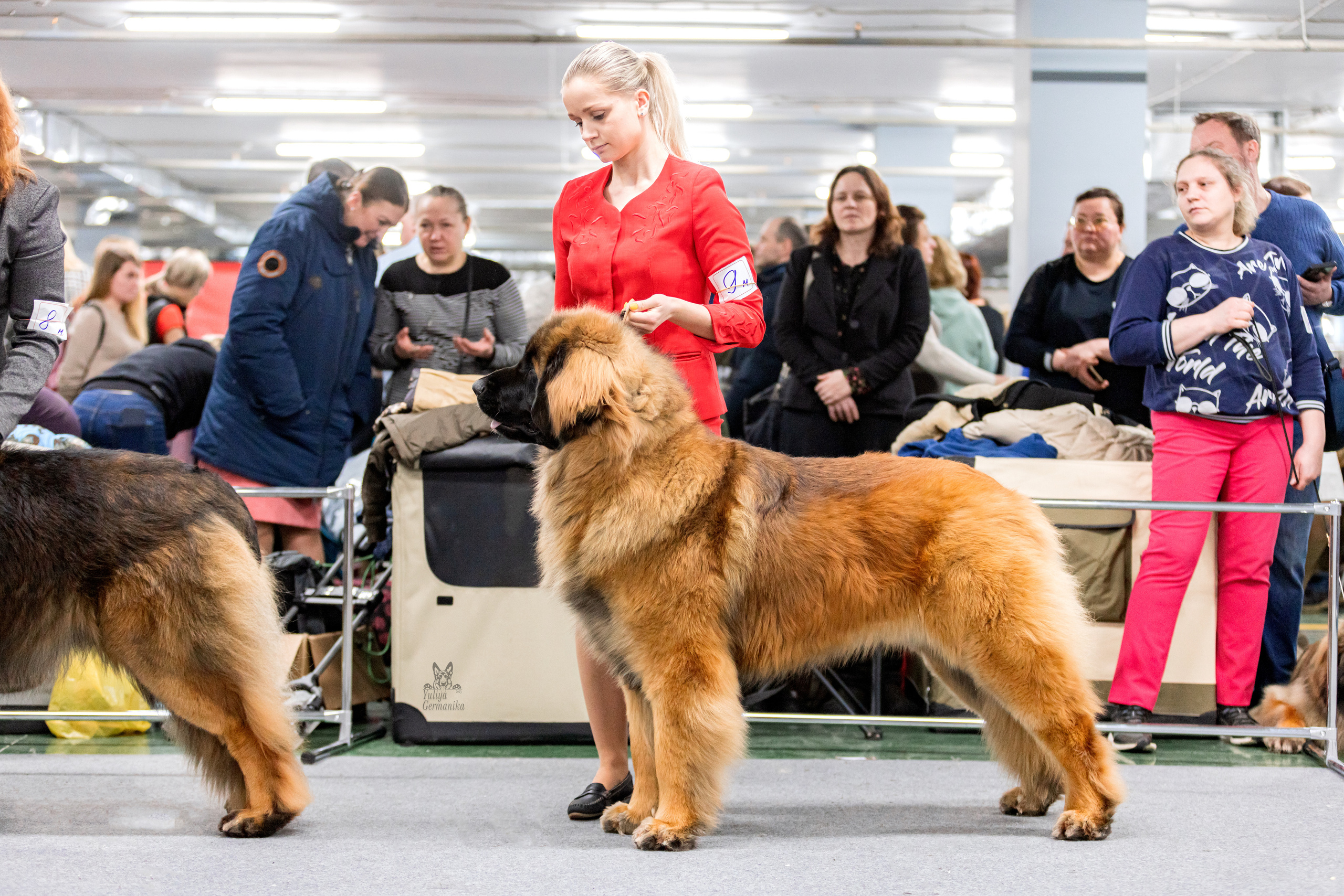 Сфера 5.03.2023. Фотограф-анималист Юлия Германика