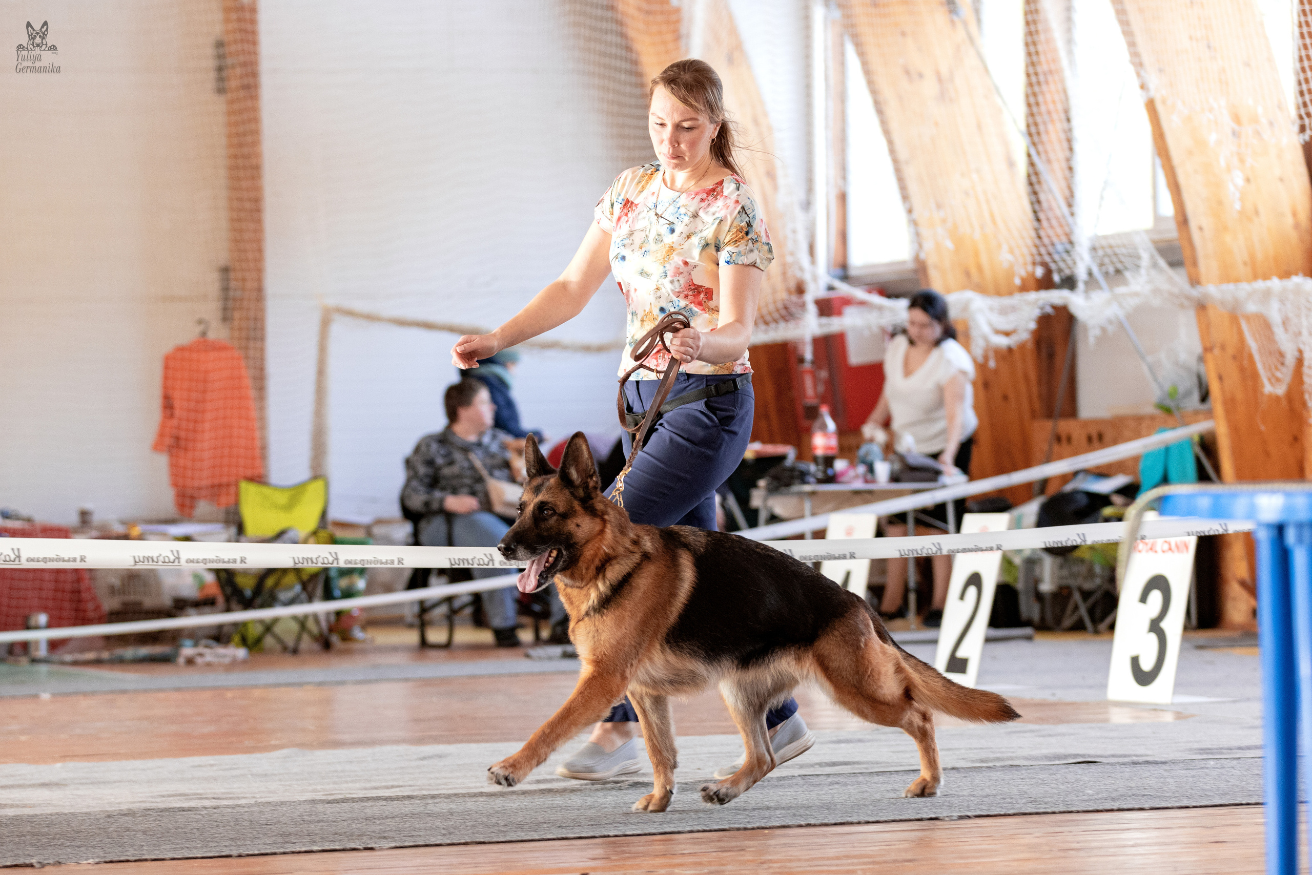 Тверь 19.03.2023. Фотограф-анималист Юлия Германика