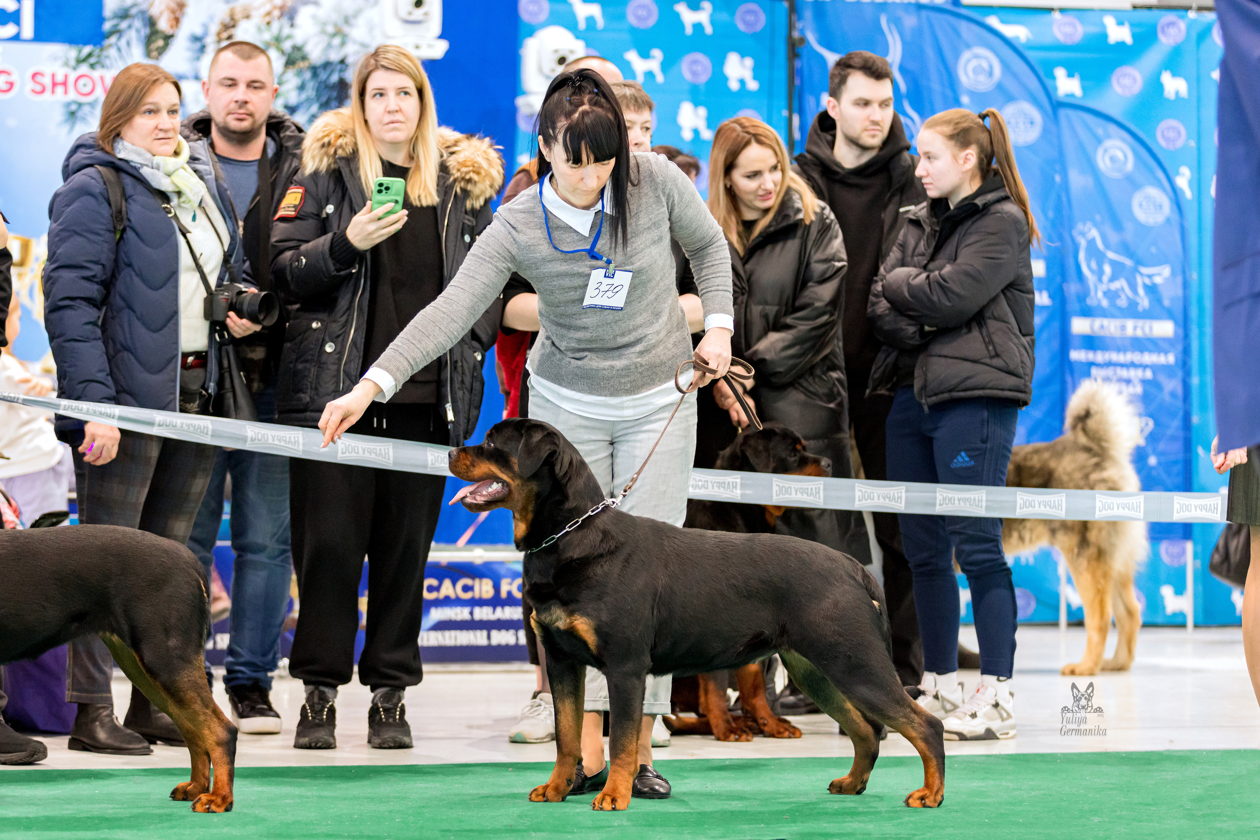 Минск 25-26.02.2023. Фотограф-анималист Юлия Германика
