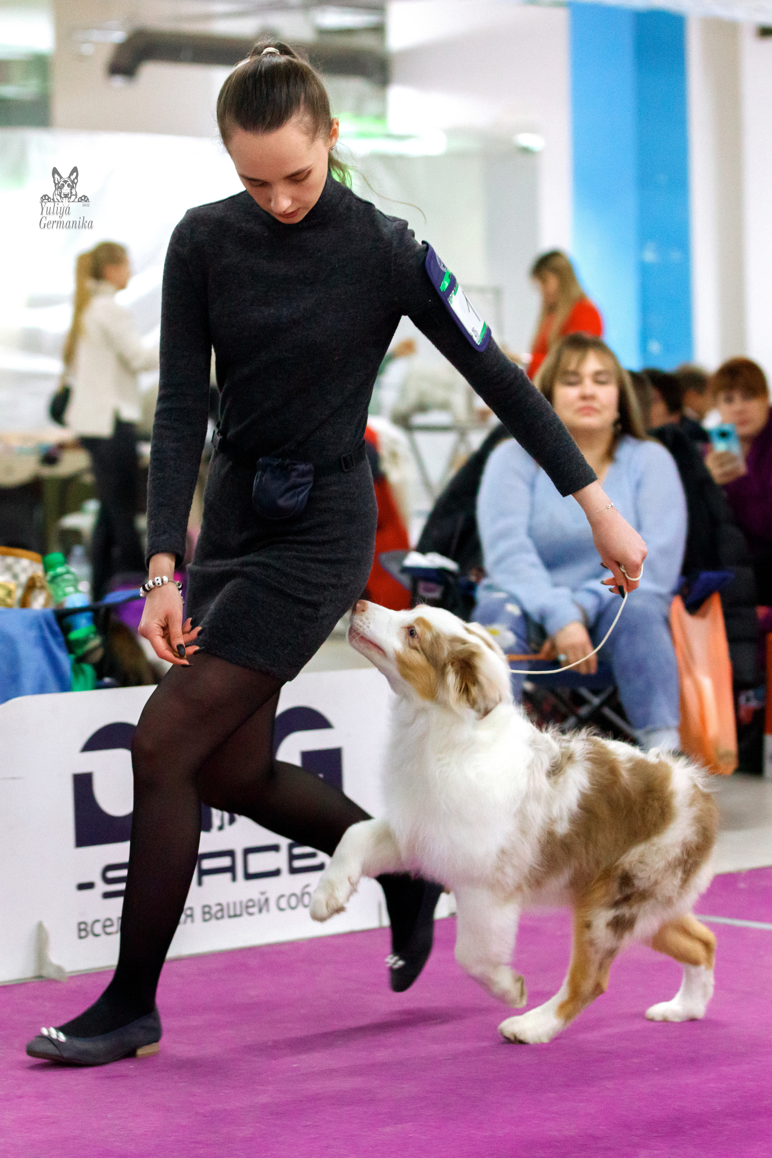 Чайна-Таун 3 и 10.12.2022. Фотограф-анималист Юлия Германика