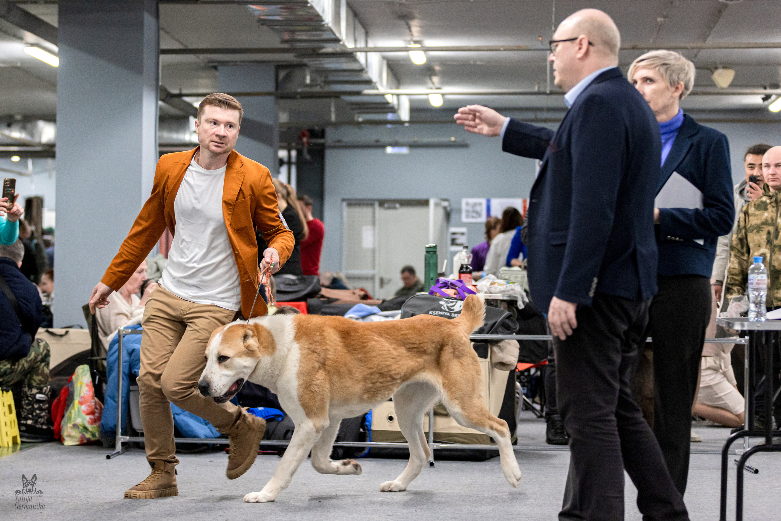 Сфера 5.03.2023. Фотограф-анималист Юлия Германика