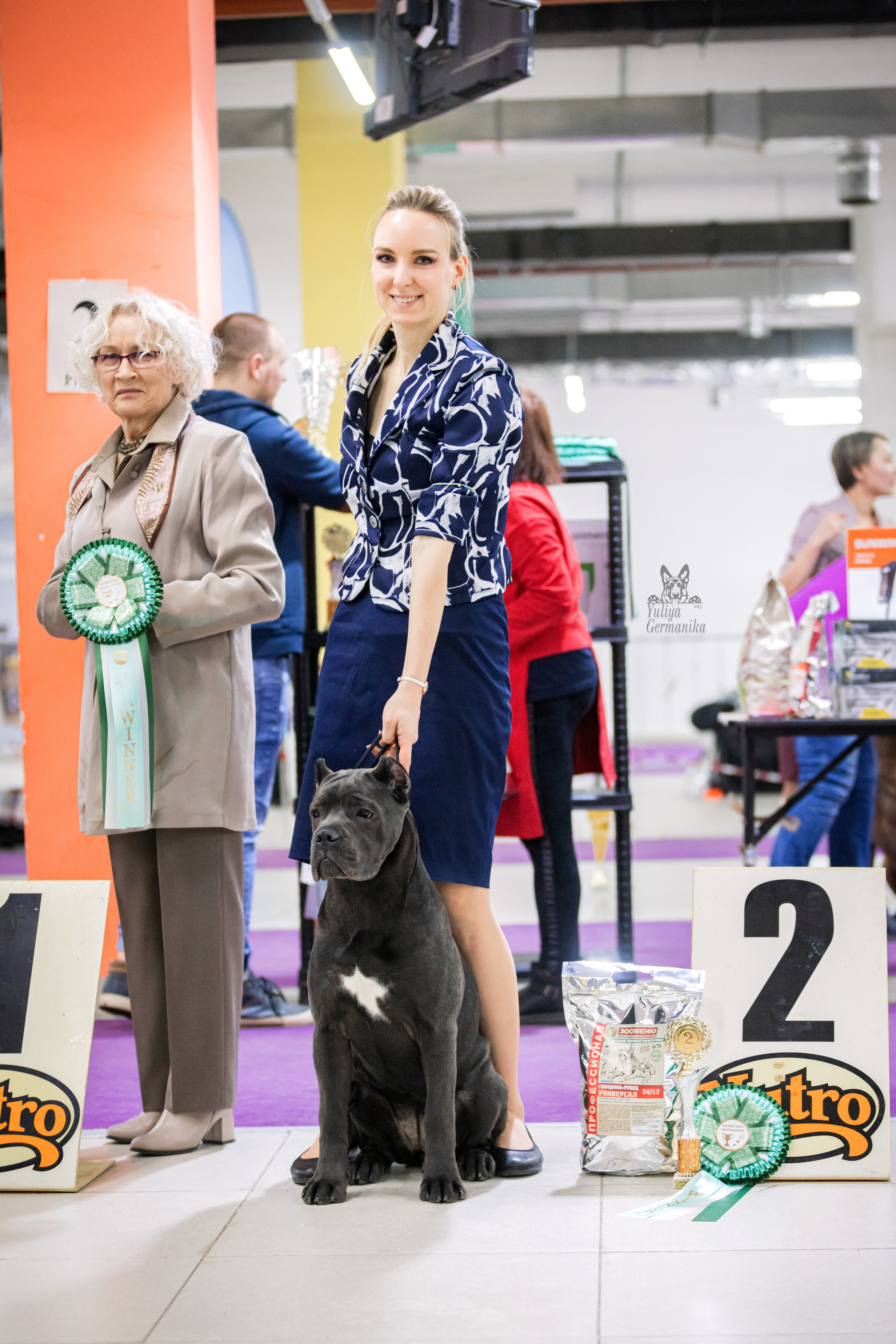 Чайна-Таун 15,21 и 22.01.2023. Фотограф-анималист Юлия Германика