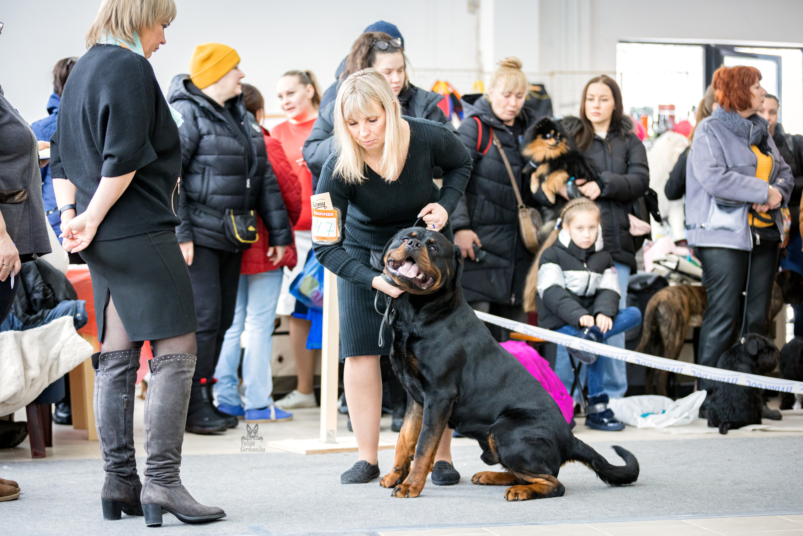 Тверь 19.02.2023. Фотограф-анималист Юлия Германика