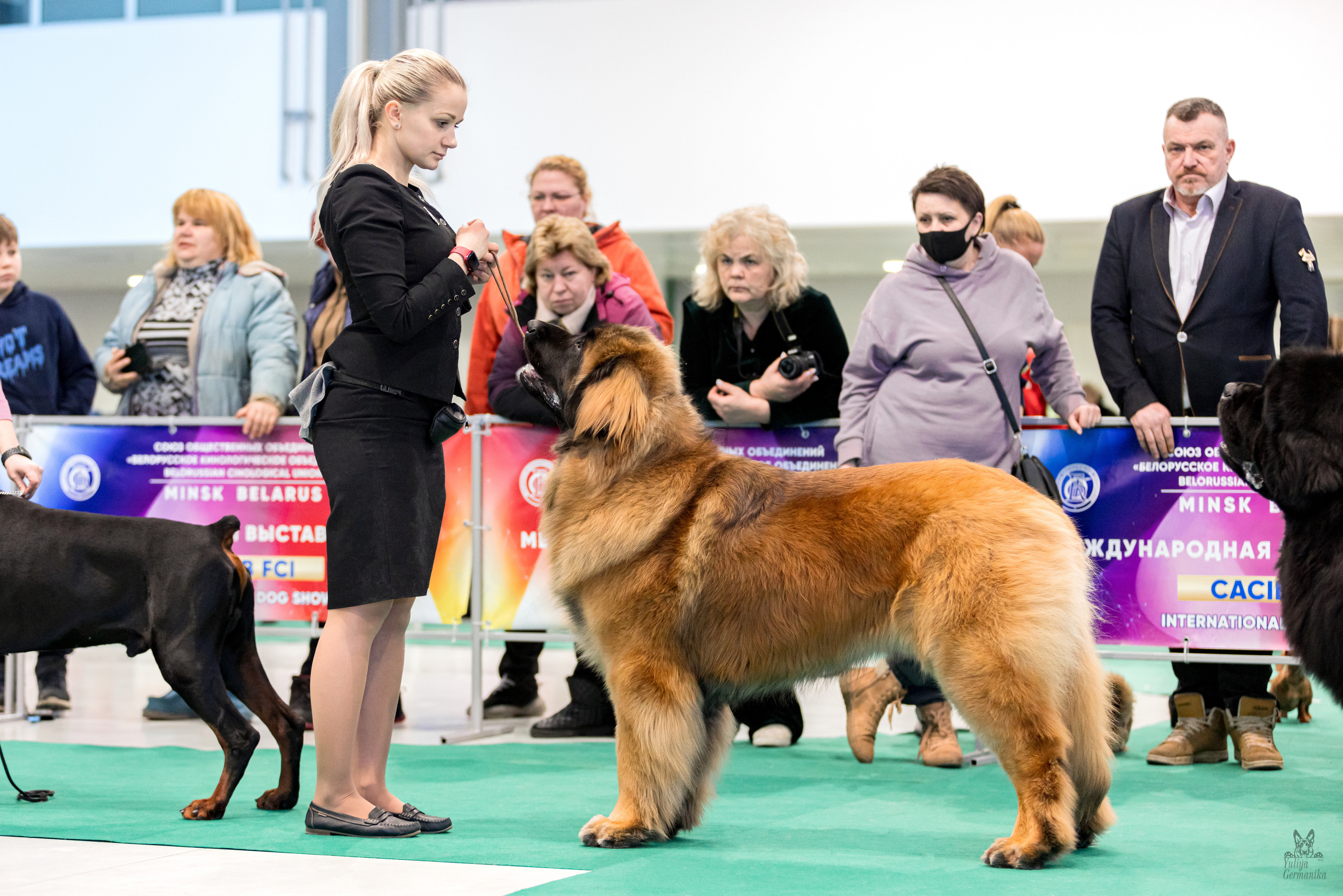 Минск 25-26.02.2023. Фотограф-анималист Юлия Германика