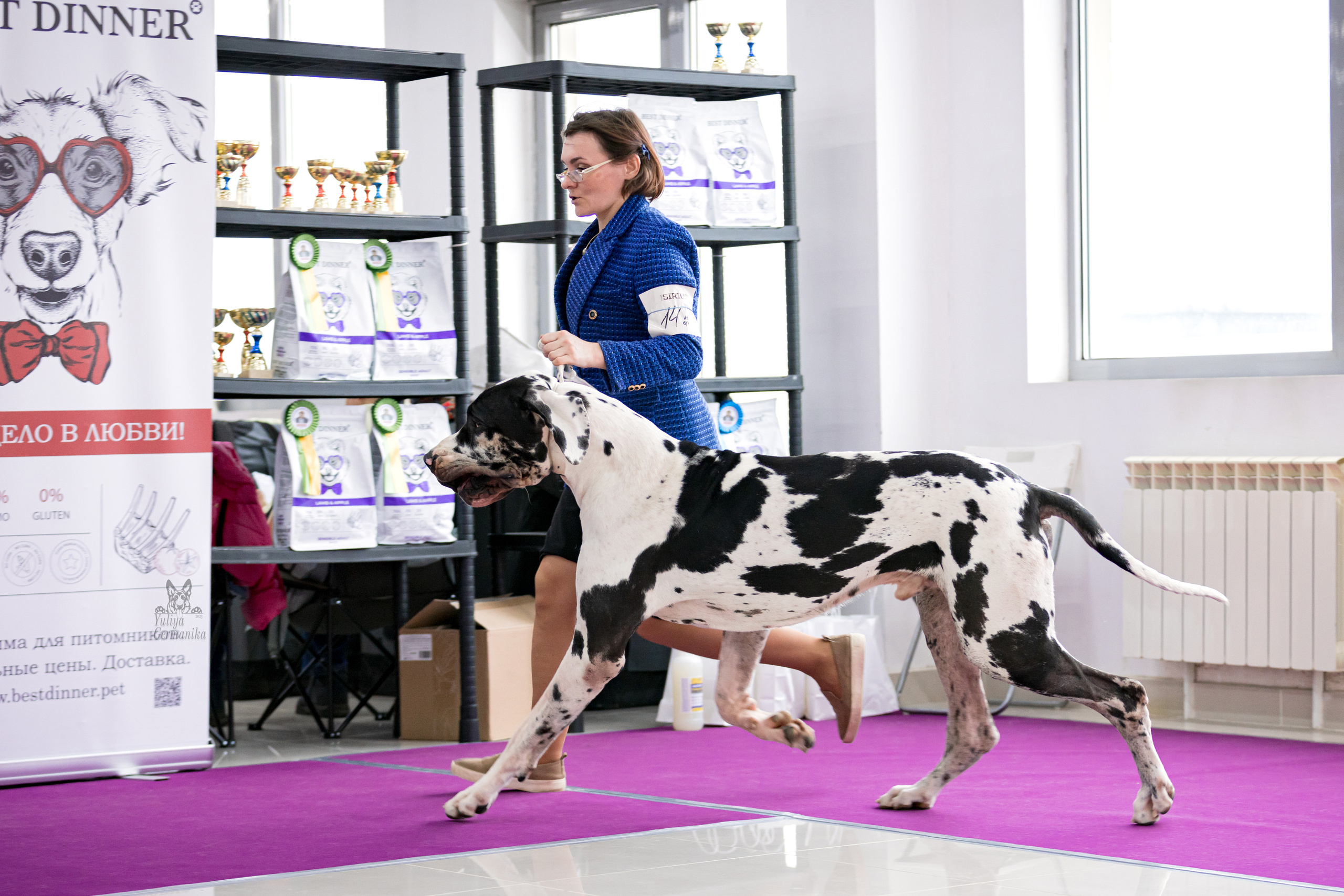 Можайский двор 11-12.02.2023. Фотограф-анималист Юлия Германика