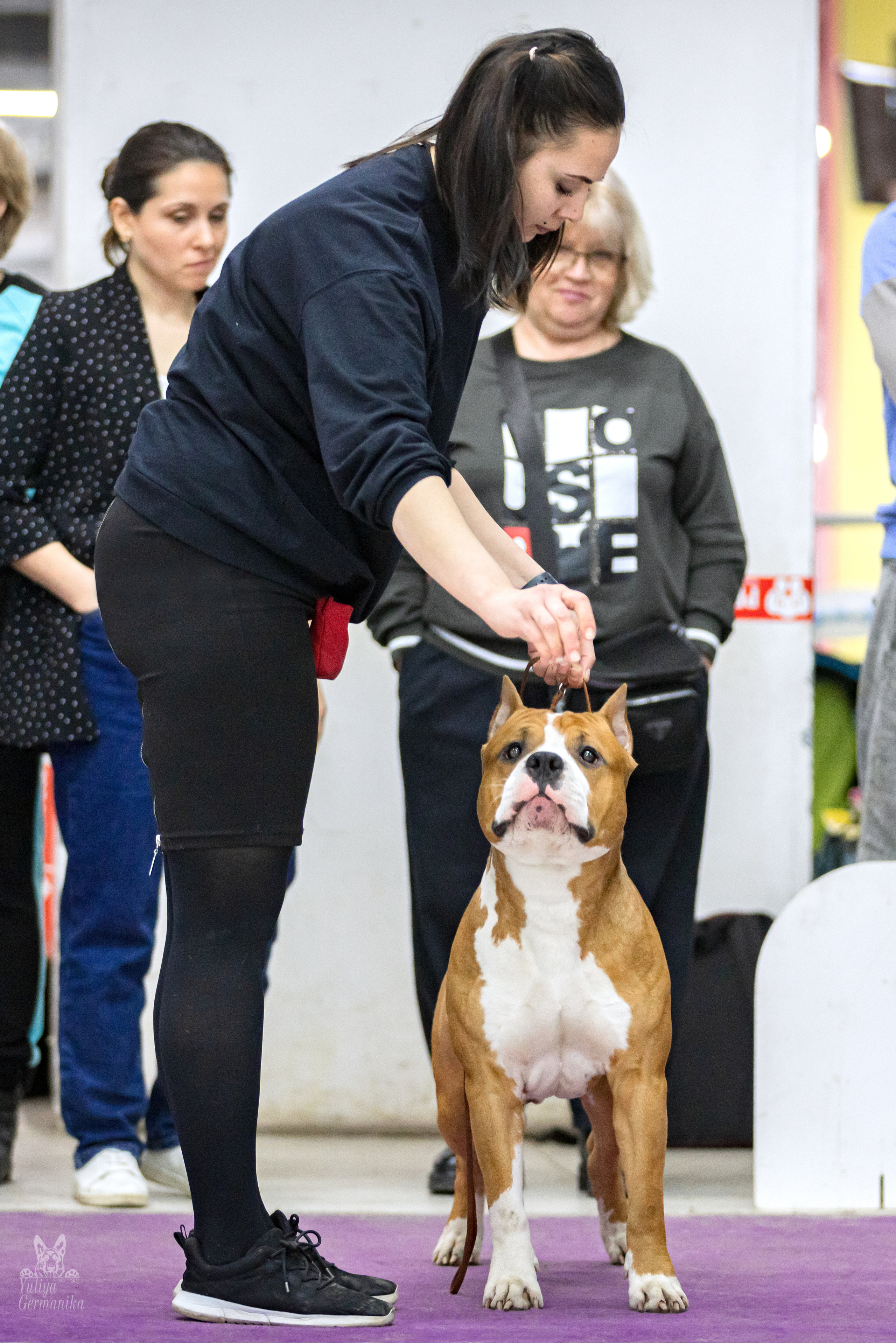 Чайна-Таун 15,21 и 22.01.2023. Фотограф-анималист Юлия Германика