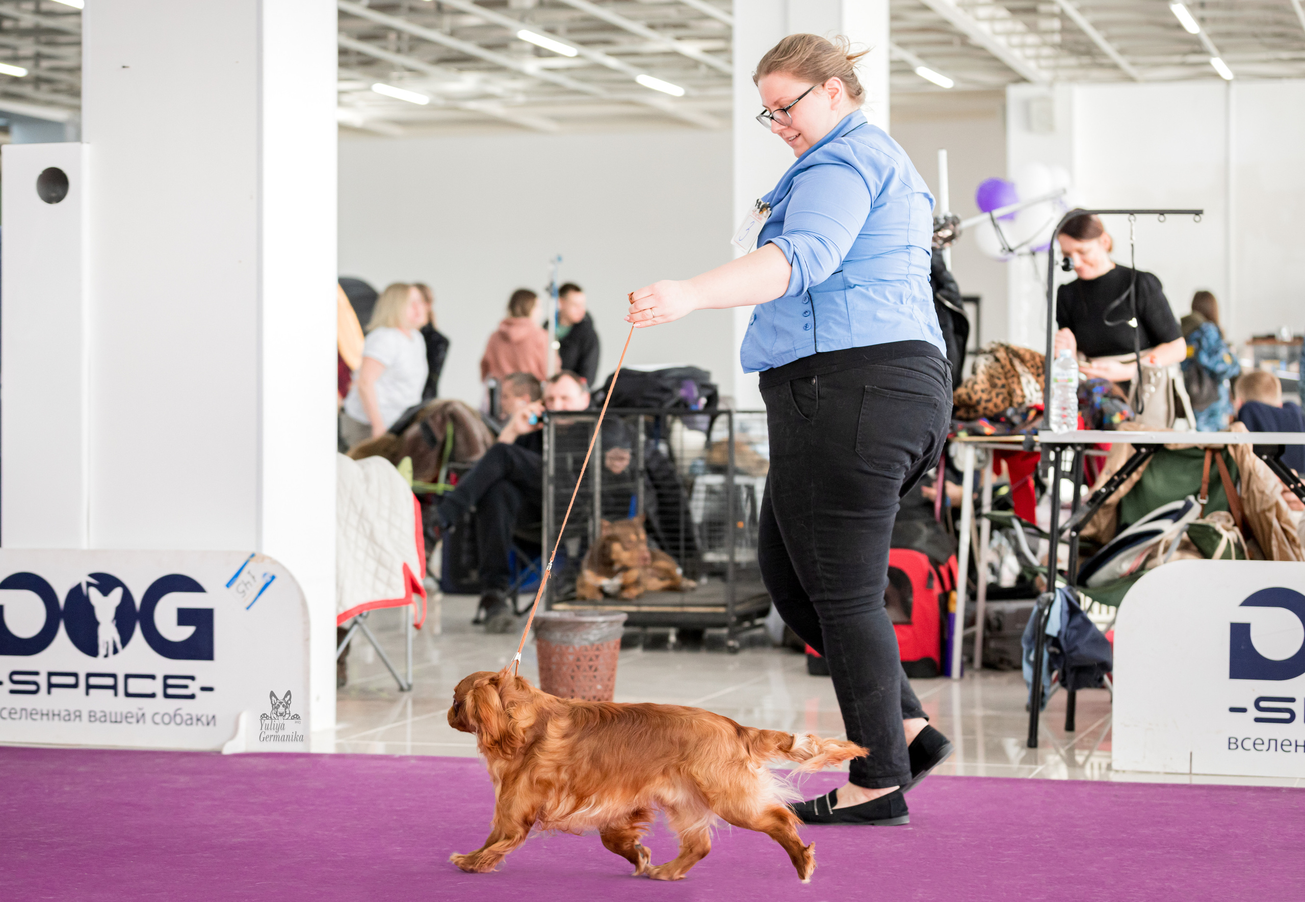 Можайский двор 11-12.02.2023. Фотограф-анималист Юлия Германика