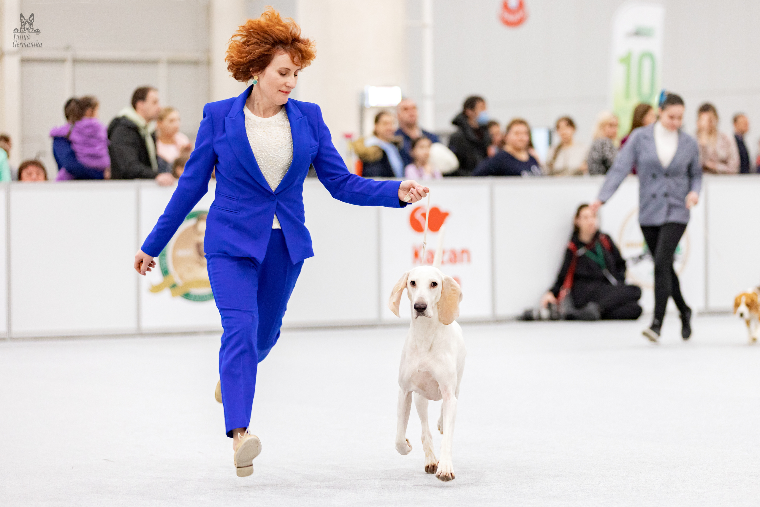 Сабанеевка,Казань 28-29.01.2023. Фотограф-анималист Юлия Германика