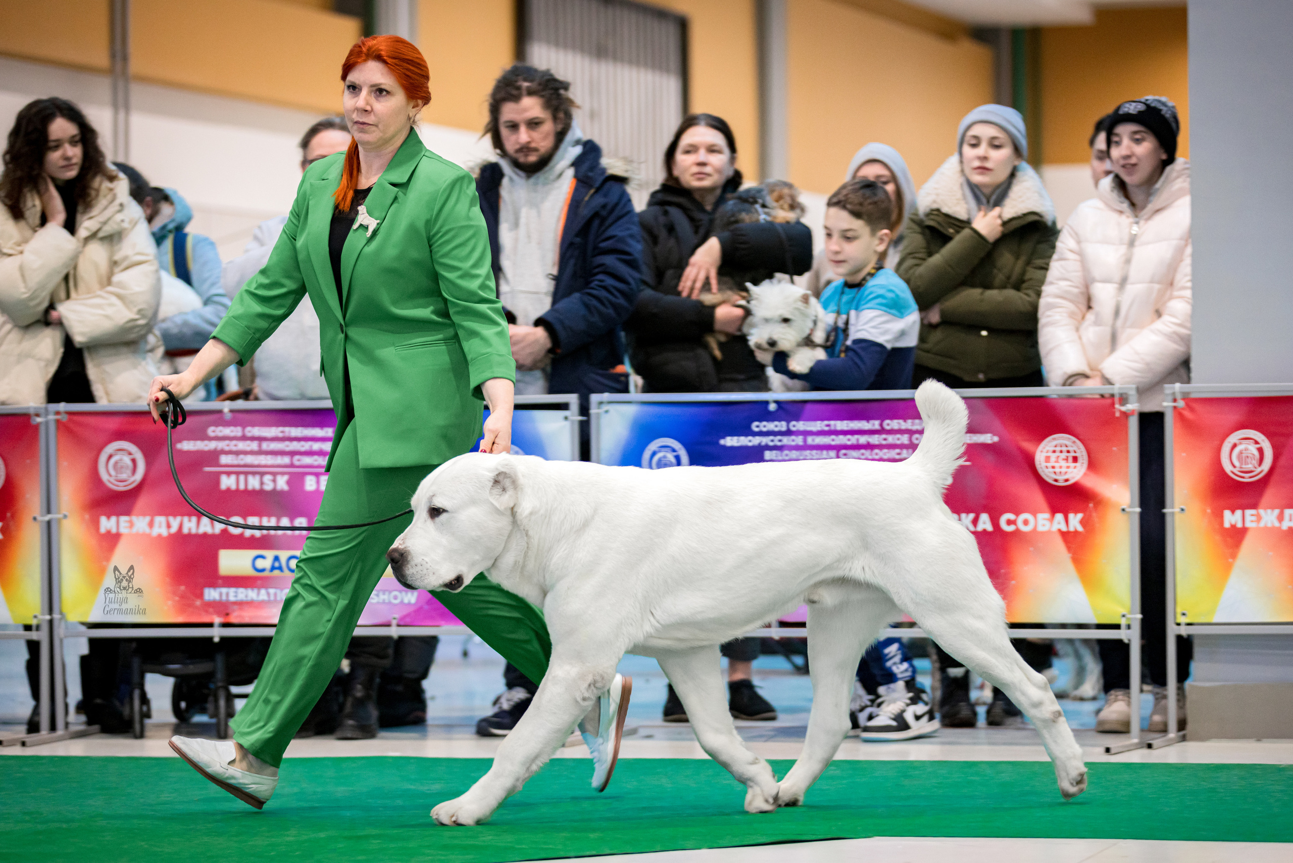 Минск 25-26.02.2023. Фотограф-анималист Юлия Германика