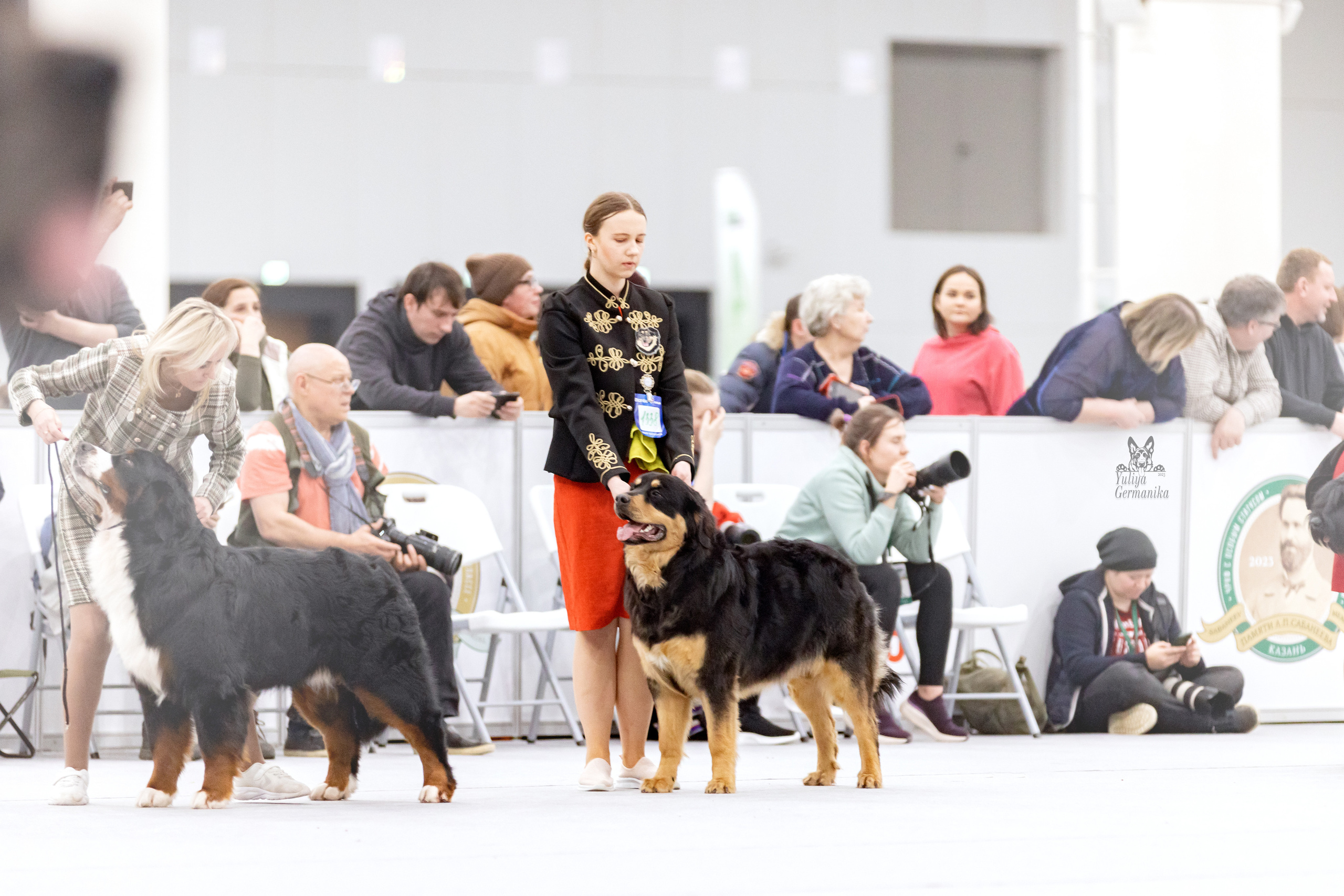 Сабанеевка,Казань 28-29.01.2023. Фотограф-анималист Юлия Германика