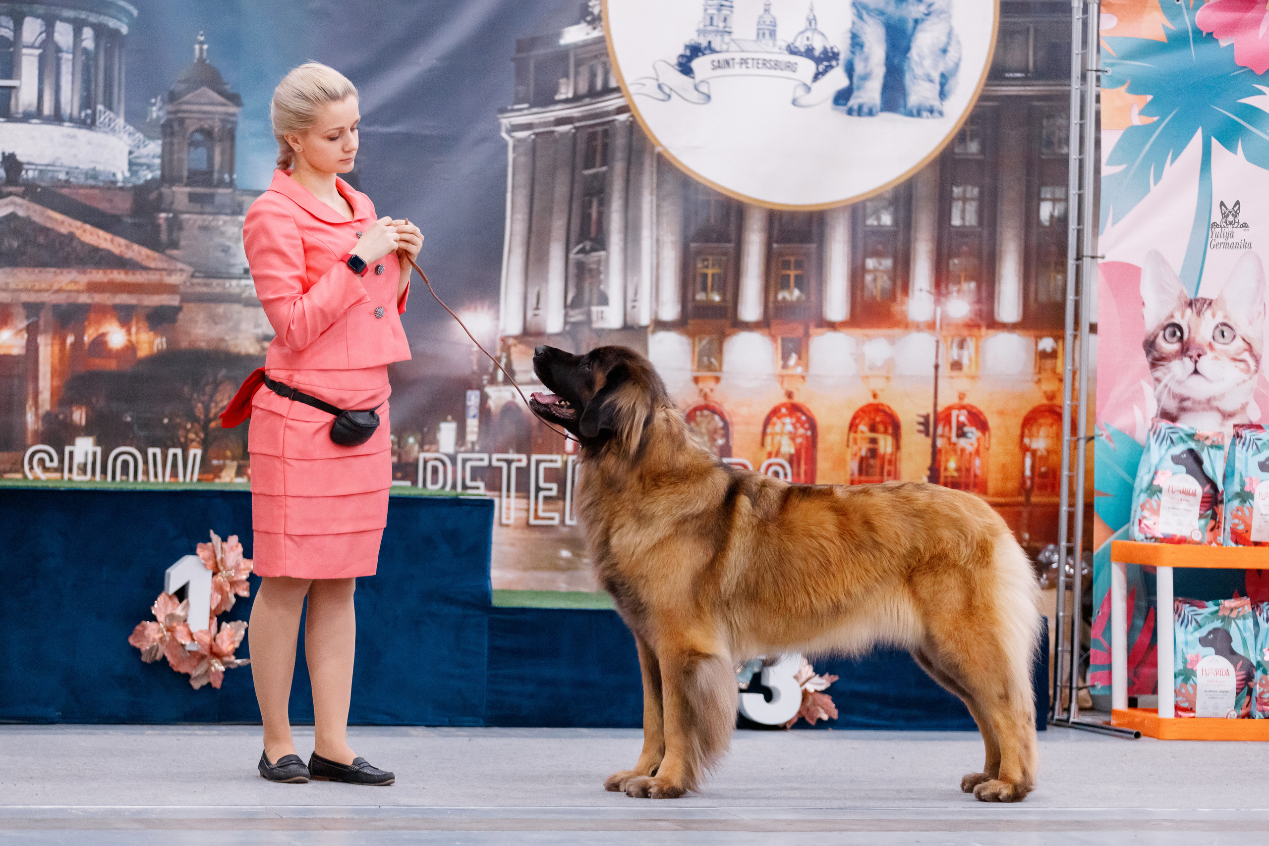 Питер 17-18.12.2022. Фотограф-анималист Юлия Германика