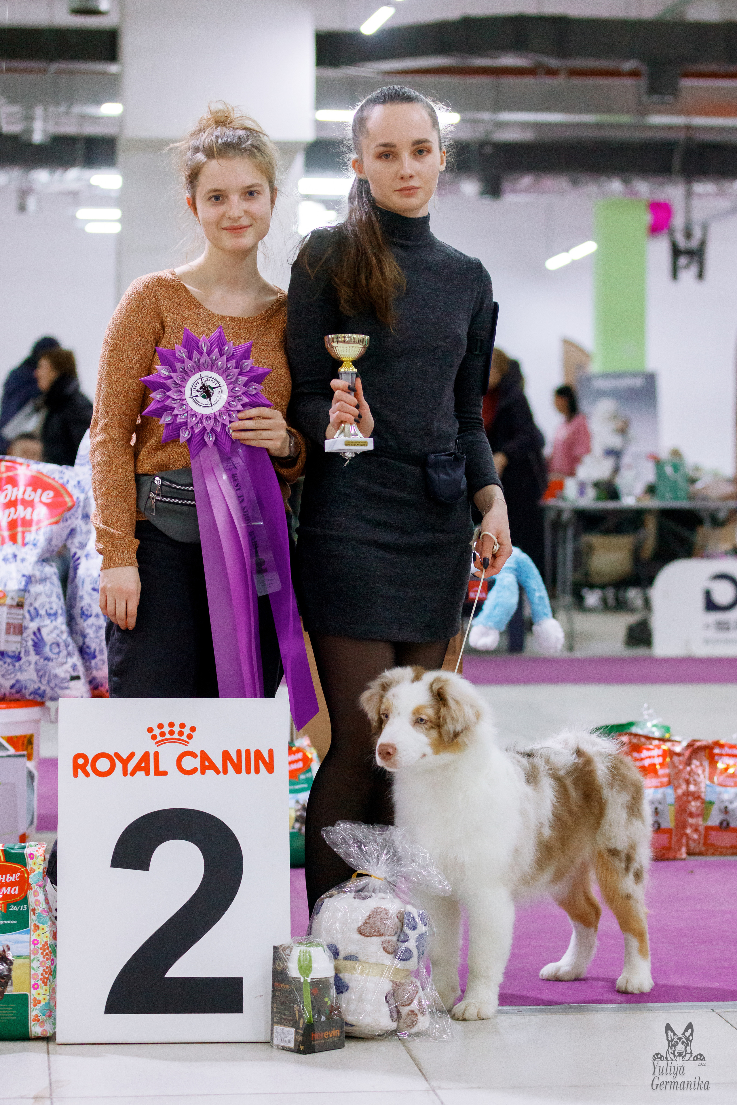 Чайна-Таун 3 и 10.12.2022. Фотограф-анималист Юлия Германика