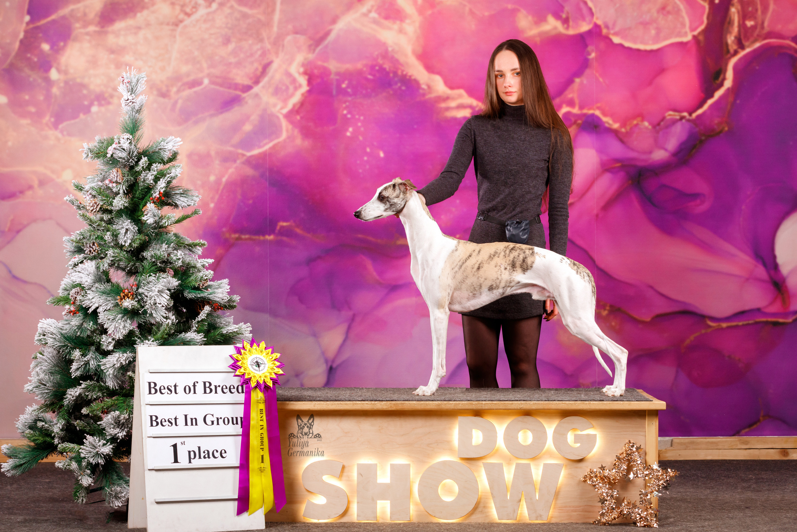 Чайна-Таун 3 и 10.12.2022. Фотограф-анималист Юлия Германика