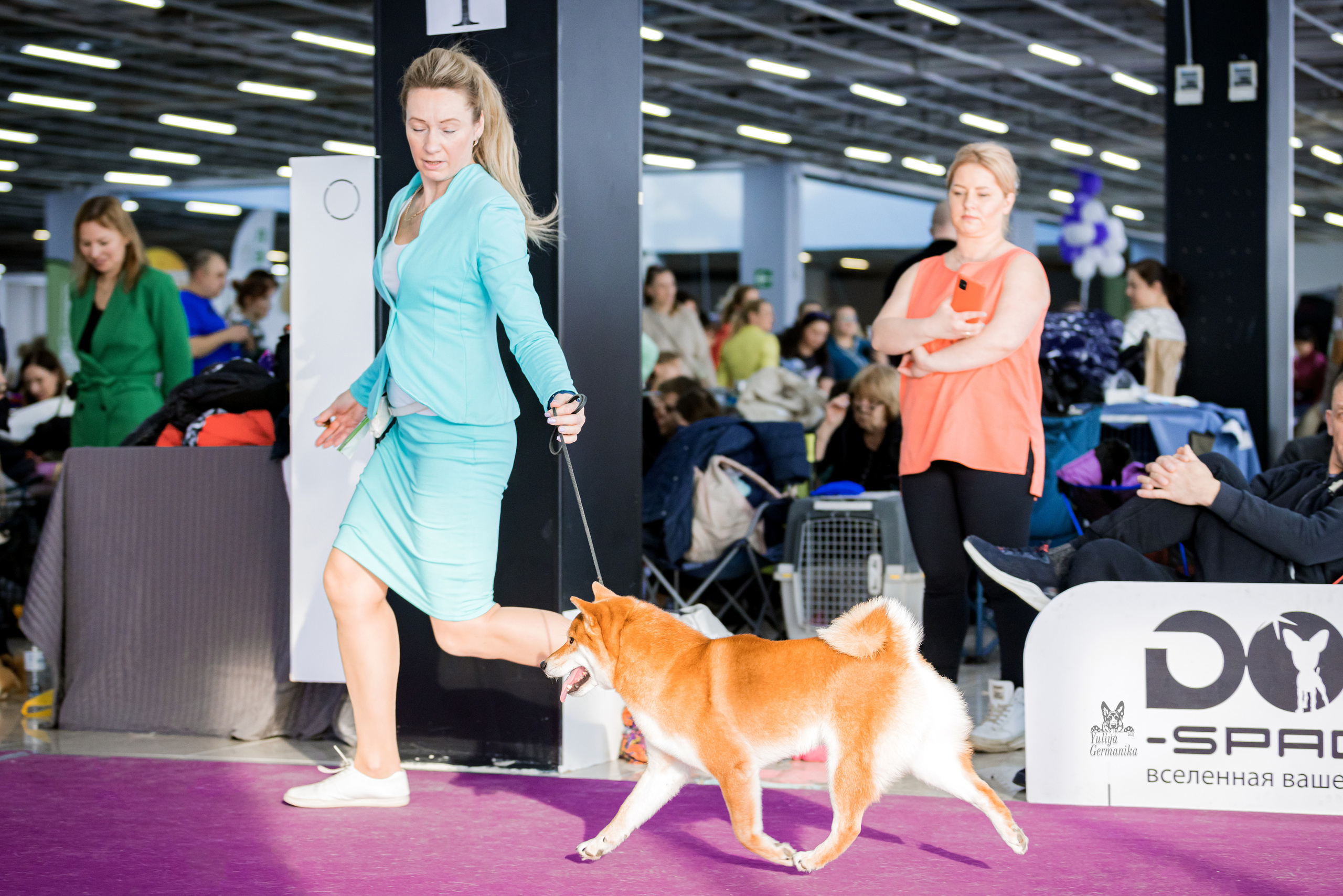 Можайский двор 18.02.2023. Фотограф-анималист Юлия Германика