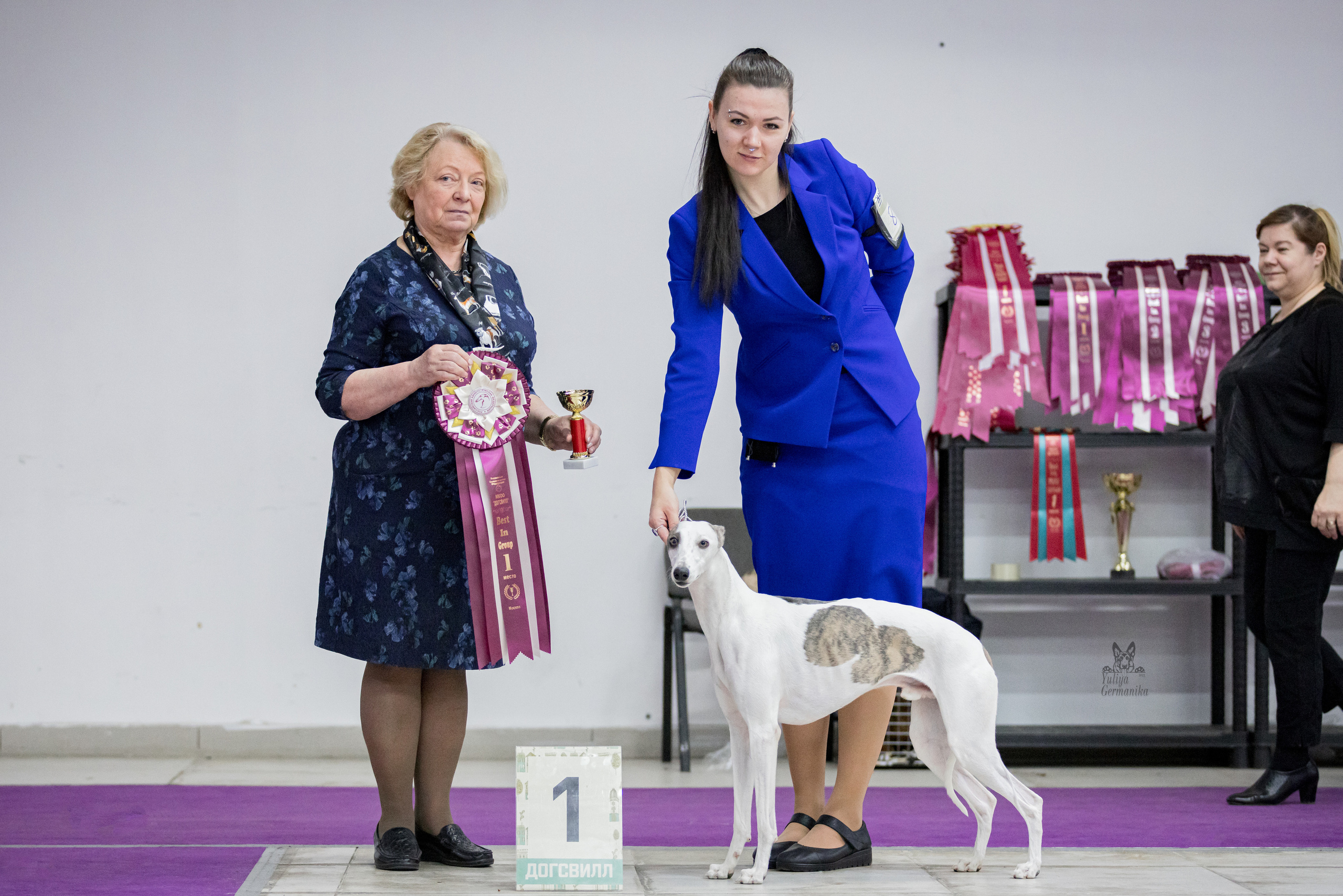 Чайна-Таун 5-8.01.2023. Фотограф-анималист Юлия Германика