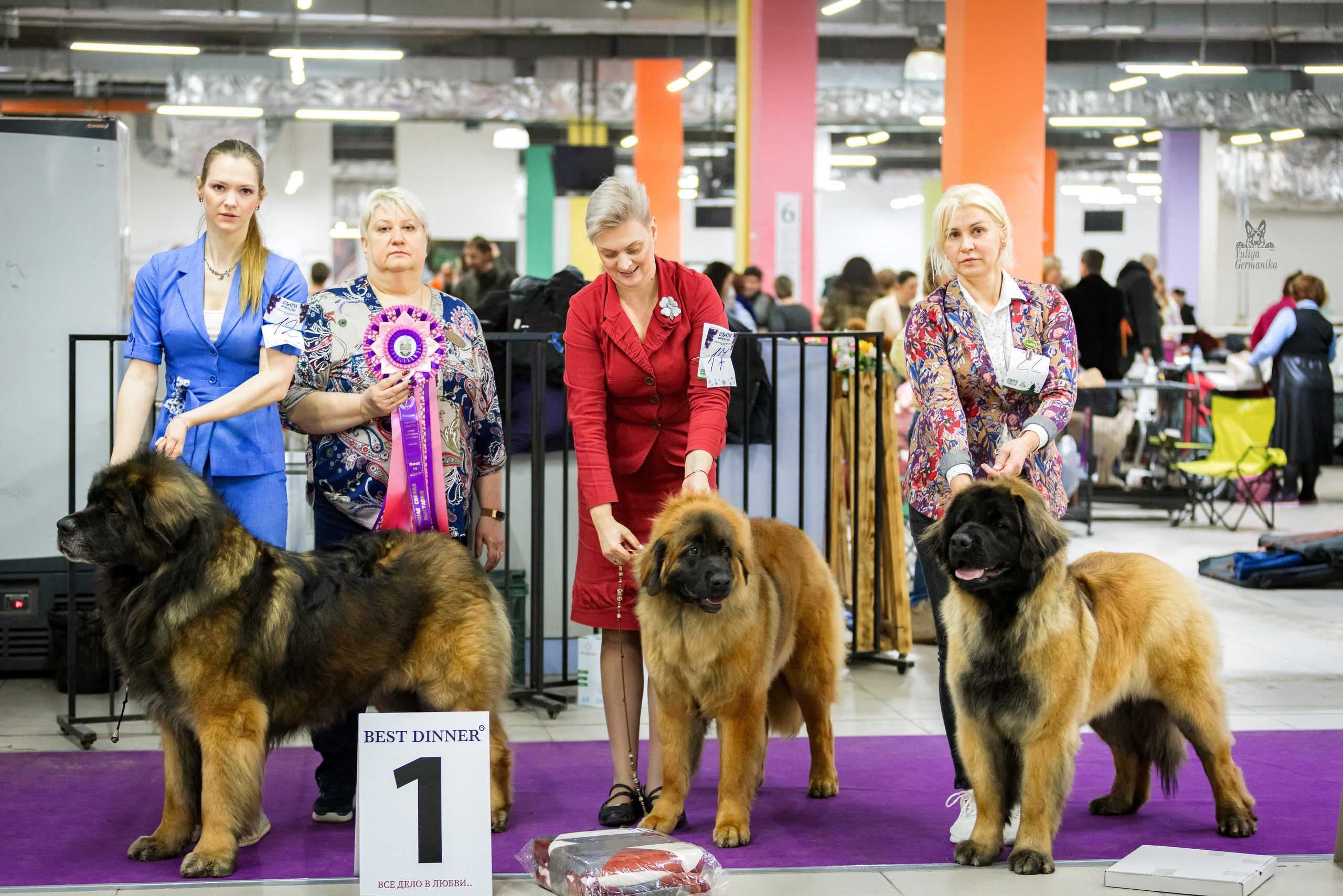 Чайна-Таун 5-8.01.2023. Фотограф-анималист Юлия Германика