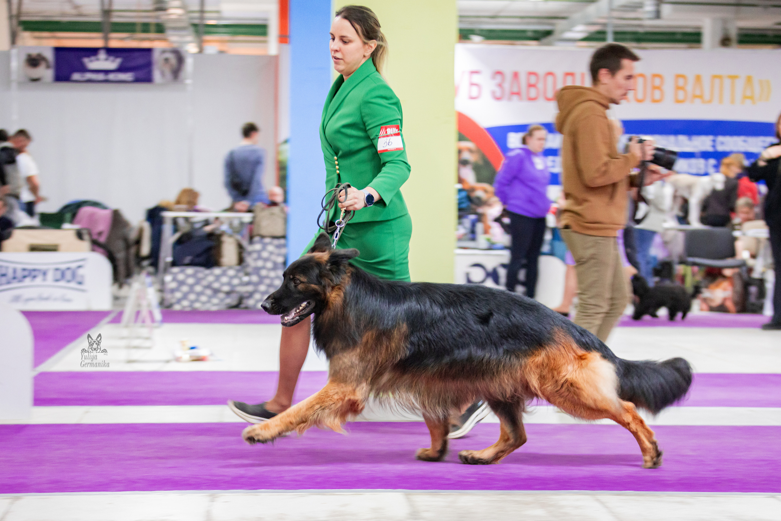 Чайна-Таун 15,21 и 22.01.2023. Фотограф-анималист Юлия Германика