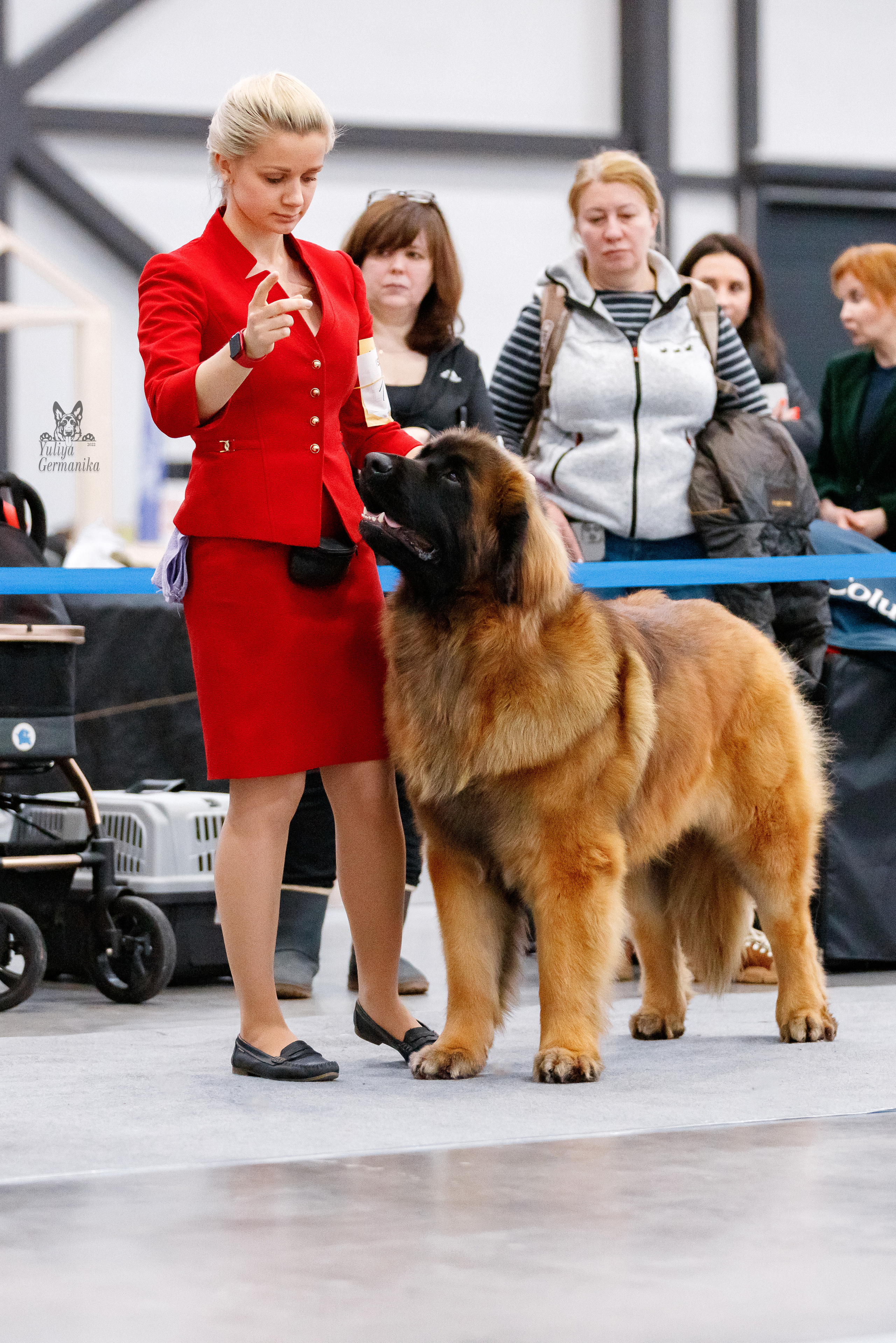 Питер 17-18.12.2022. Фотограф-анималист Юлия Германика