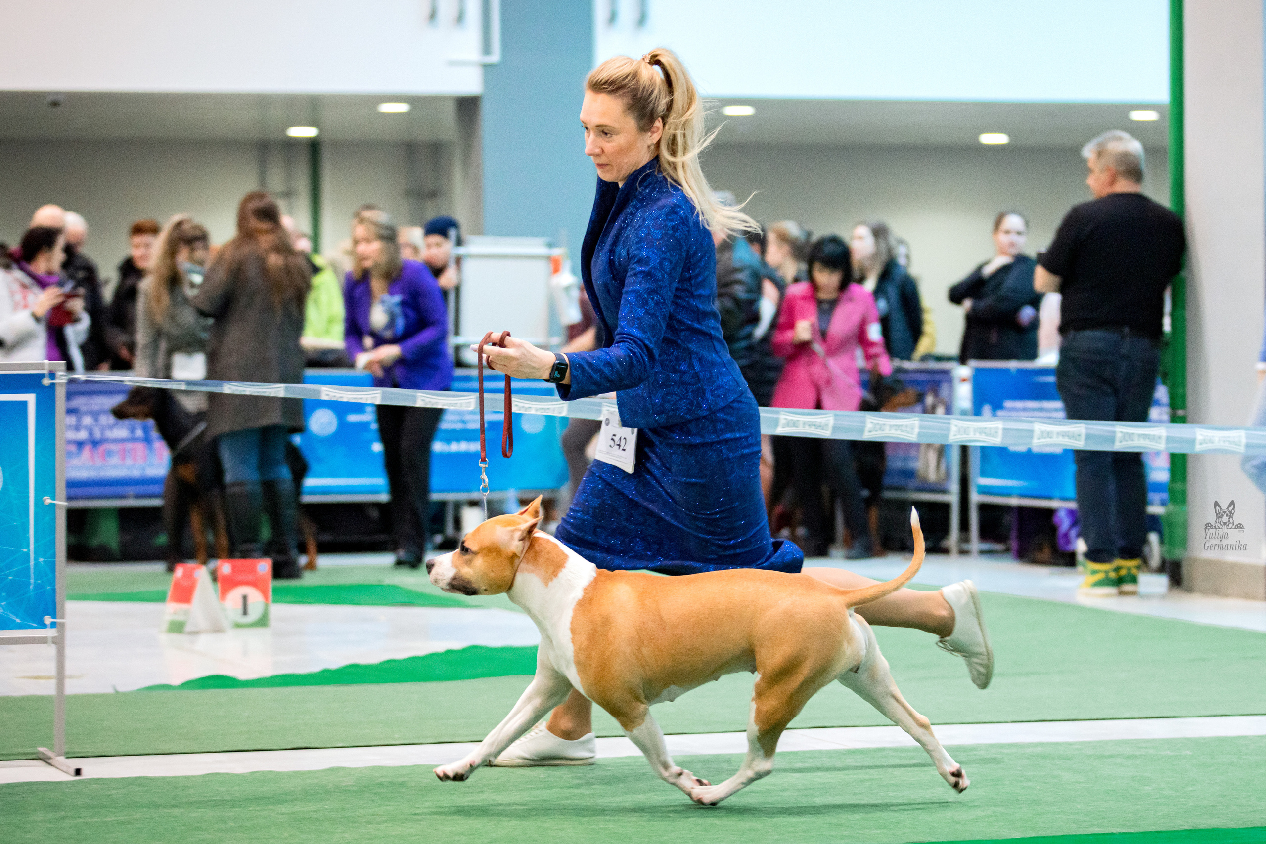 Минск 25-26.02.2023. Фотограф-анималист Юлия Германика