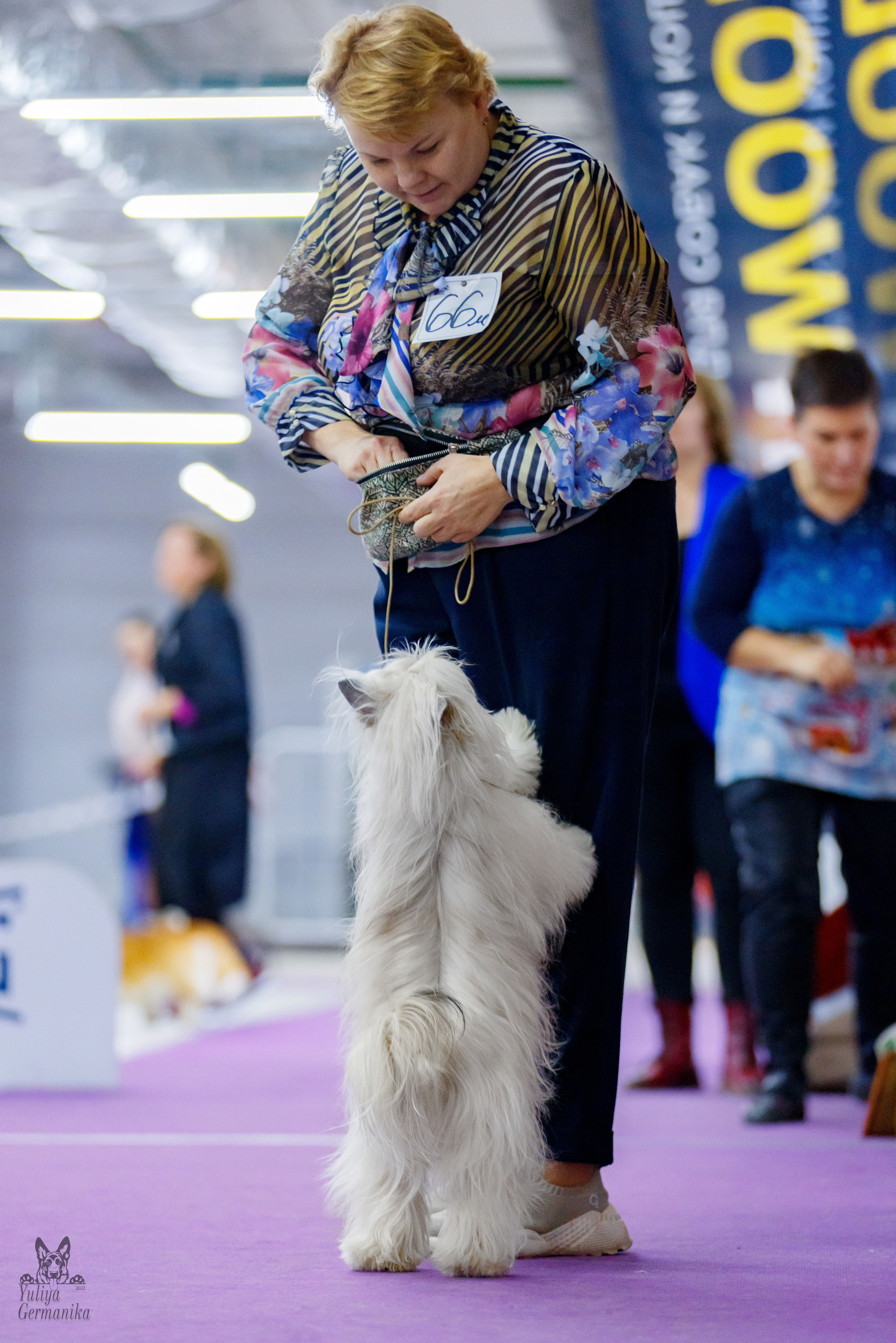 Чайна-Таун 3 и 10.12.2022. Фотограф-анималист Юлия Германика