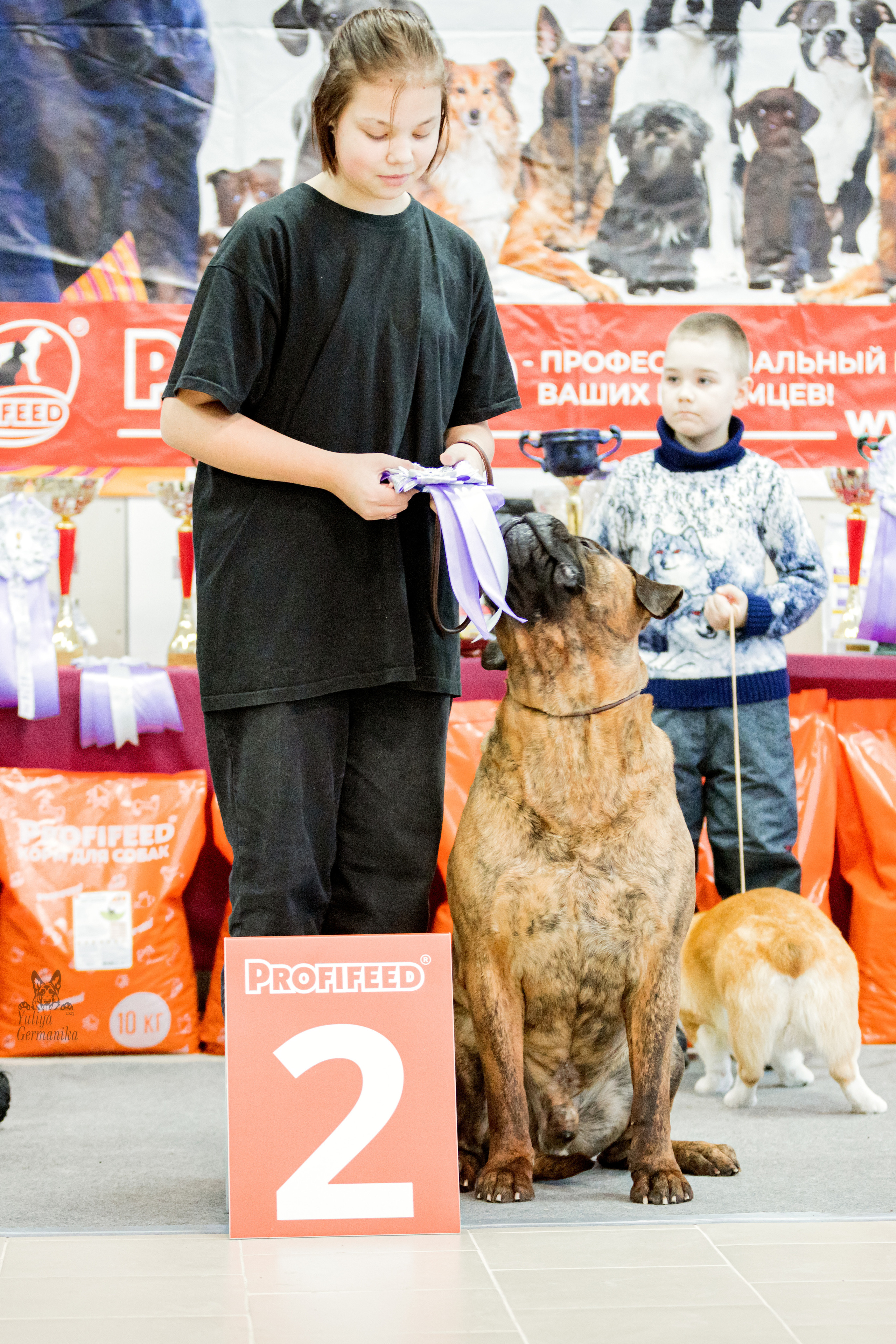 Тверь 19.02.2023. Фотограф-анималист Юлия Германика