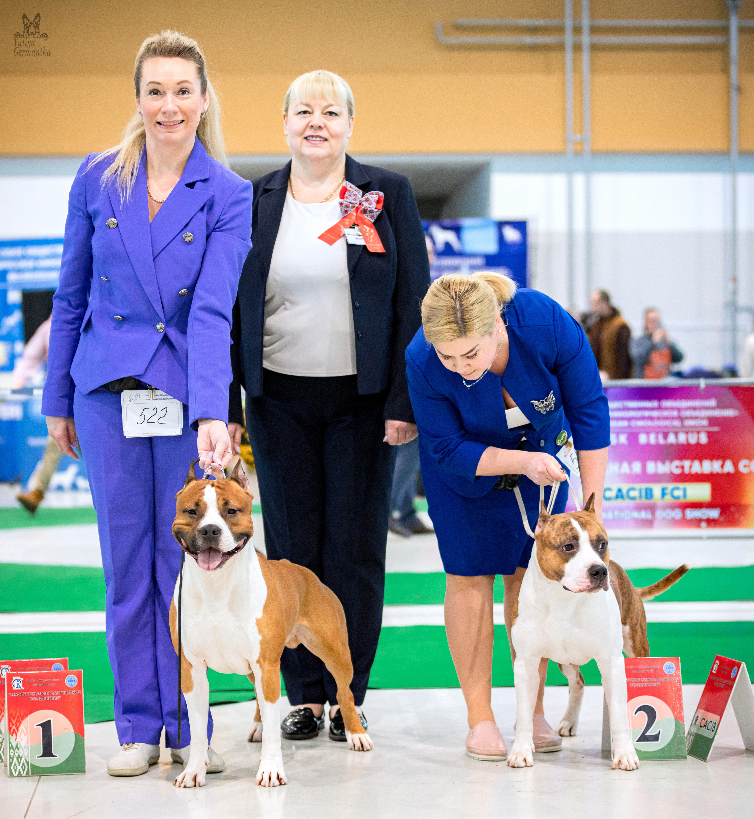 Минск 25-26.02.2023. Фотограф-анималист Юлия Германика