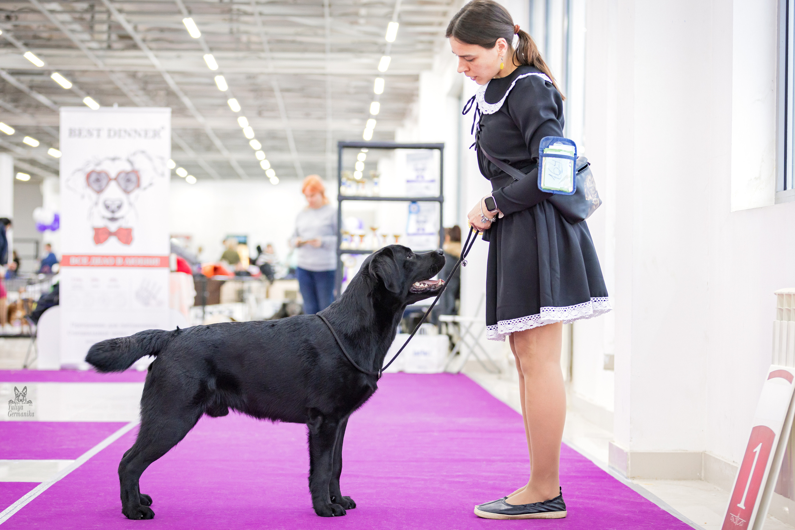 Можайский двор 11-12.02.2023. Фотограф-анималист Юлия Германика