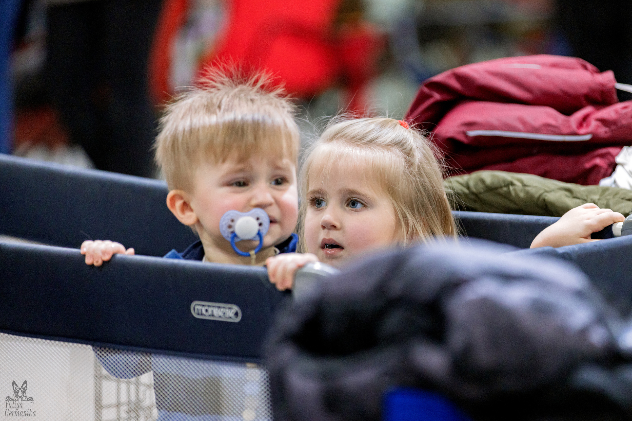 Чайна-Таун 4-5.02.2023. Фотограф-анималист Юлия Германика