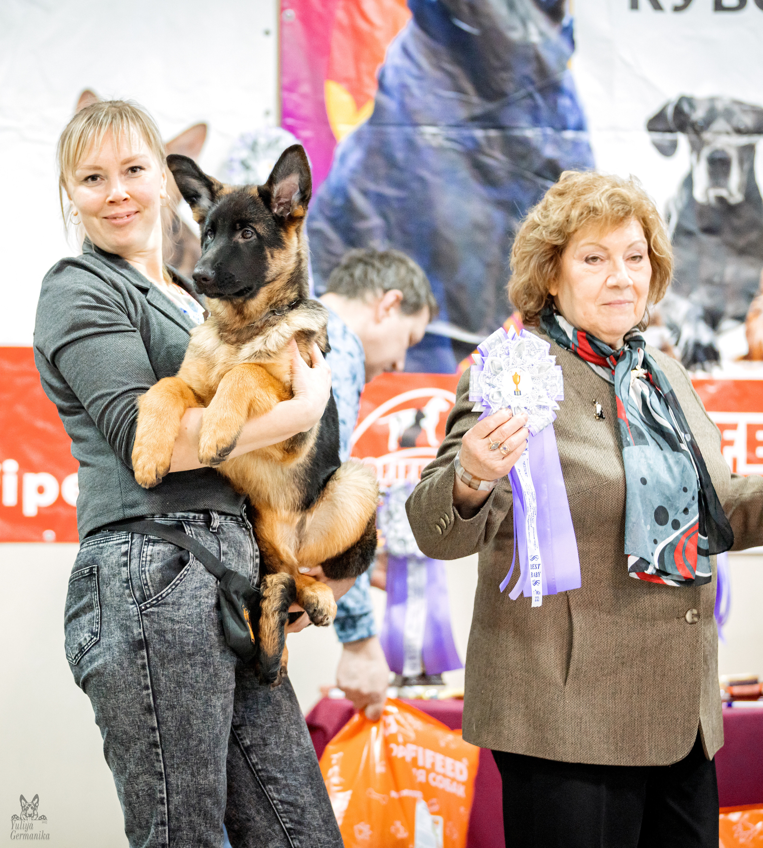 Тверь 19.02.2023. Фотограф-анималист Юлия Германика