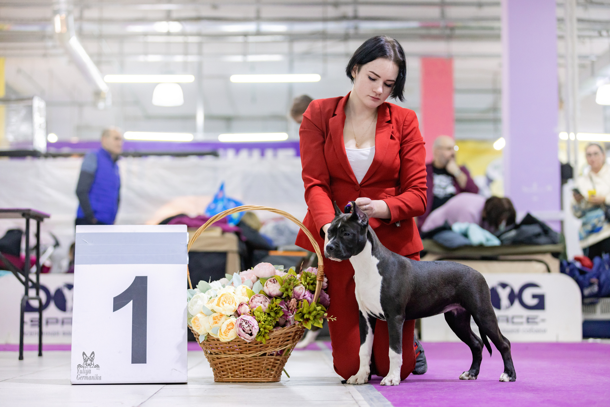 Чайна-Таун 4-5.02.2023. Фотограф-анималист Юлия Германика