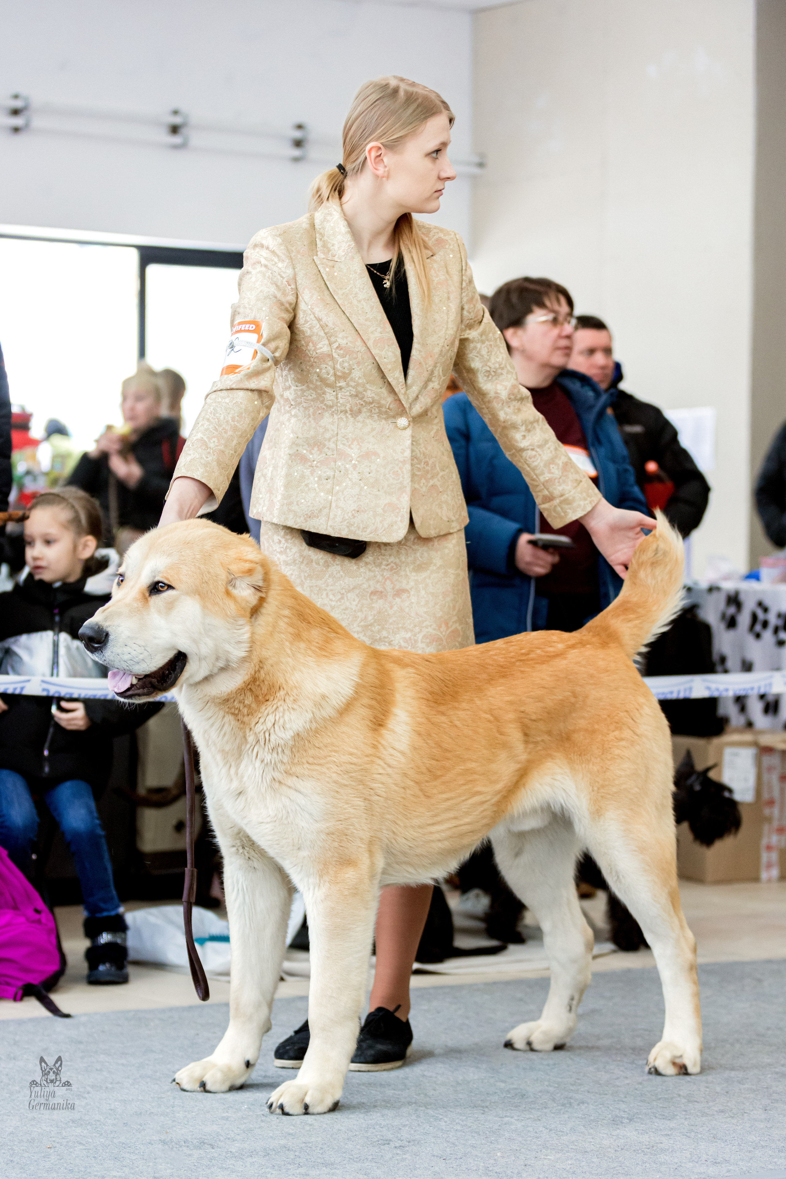 Тверь 19.02.2023. Фотограф-анималист Юлия Германика