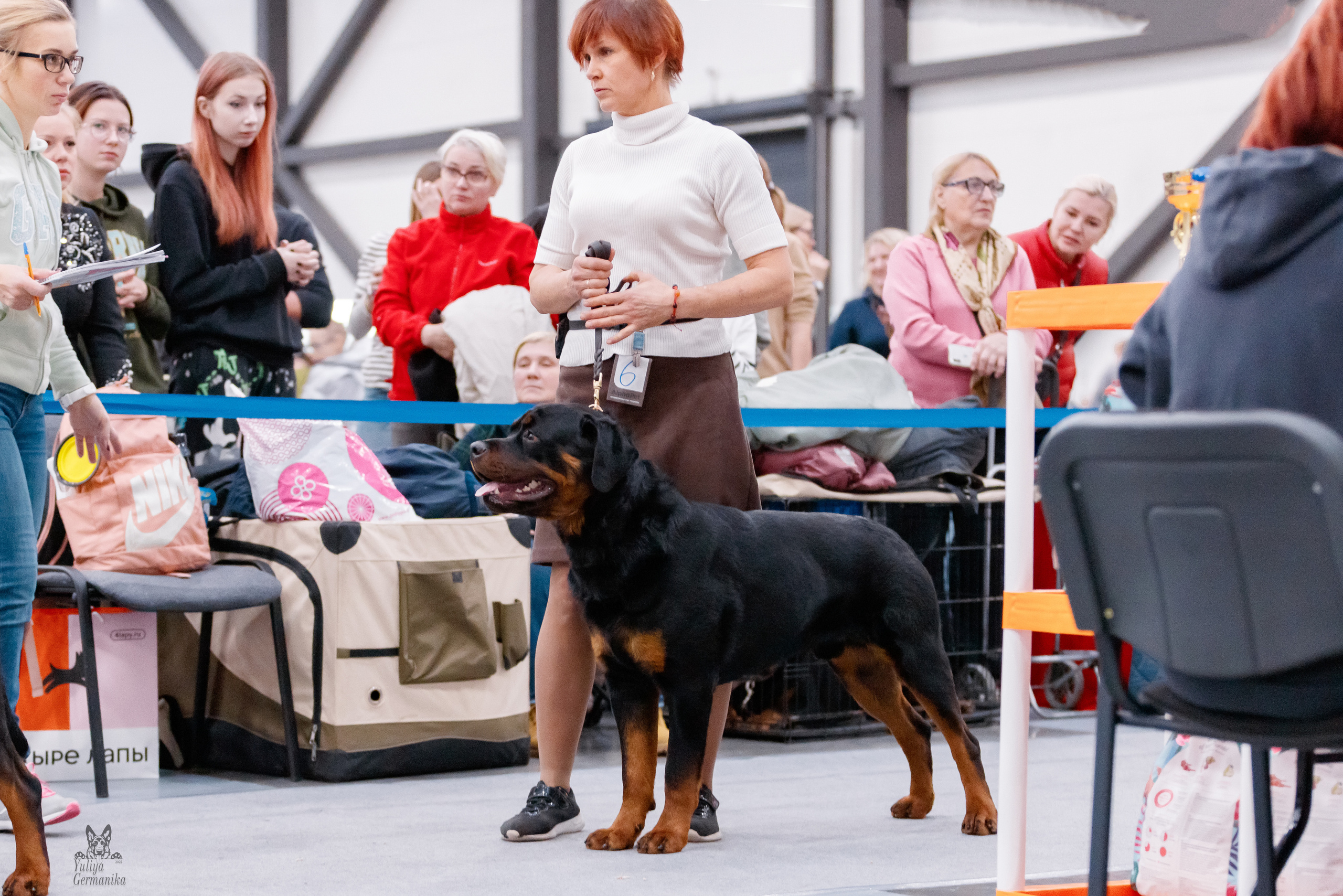 Питер 17-18.12.2022. Фотограф-анималист Юлия Германика