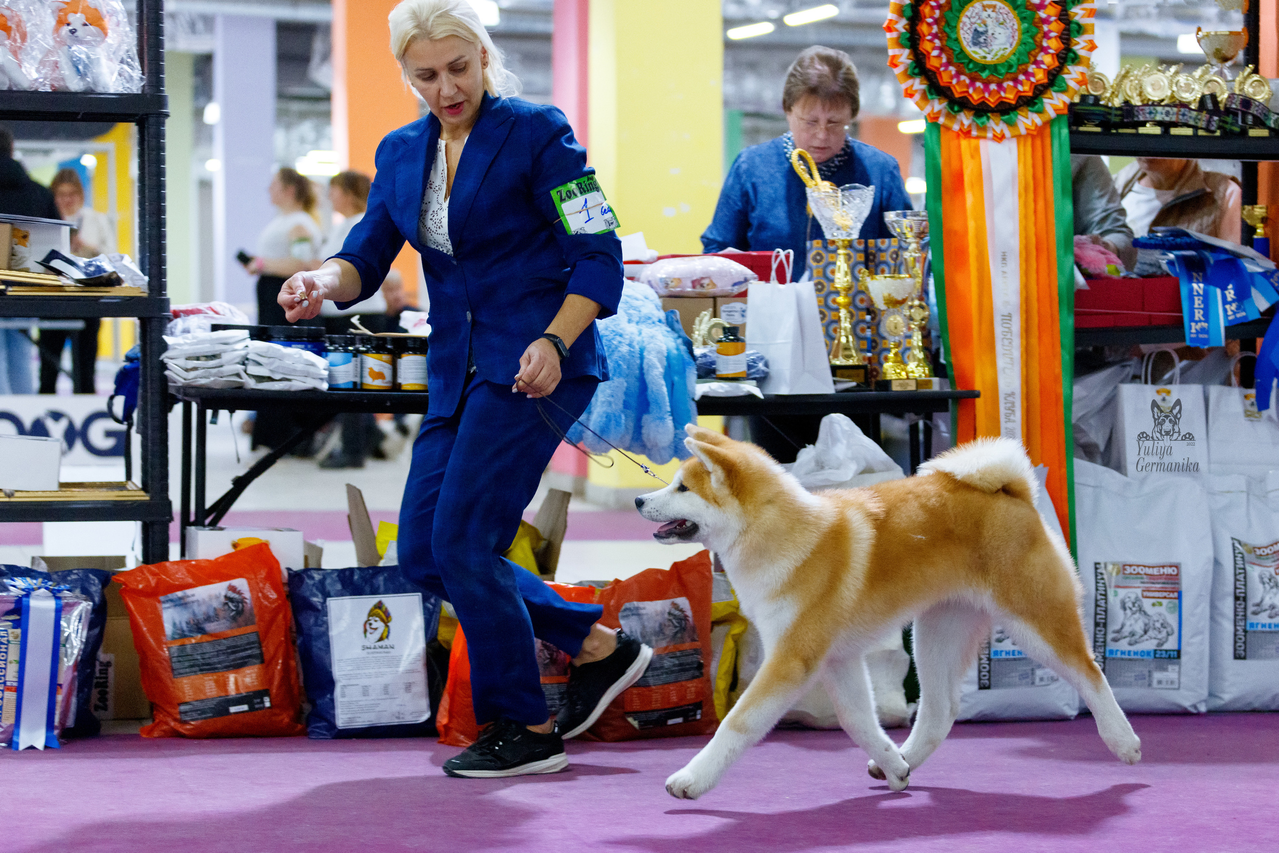 Чайна-Таун 3 и 10.12.2022. Фотограф-анималист Юлия Германика