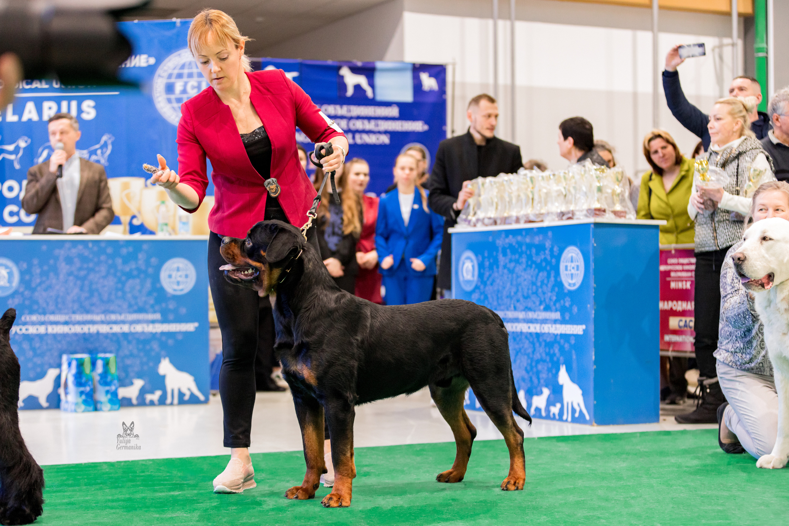 Минск 25-26.02.2023. Фотограф-анималист Юлия Германика