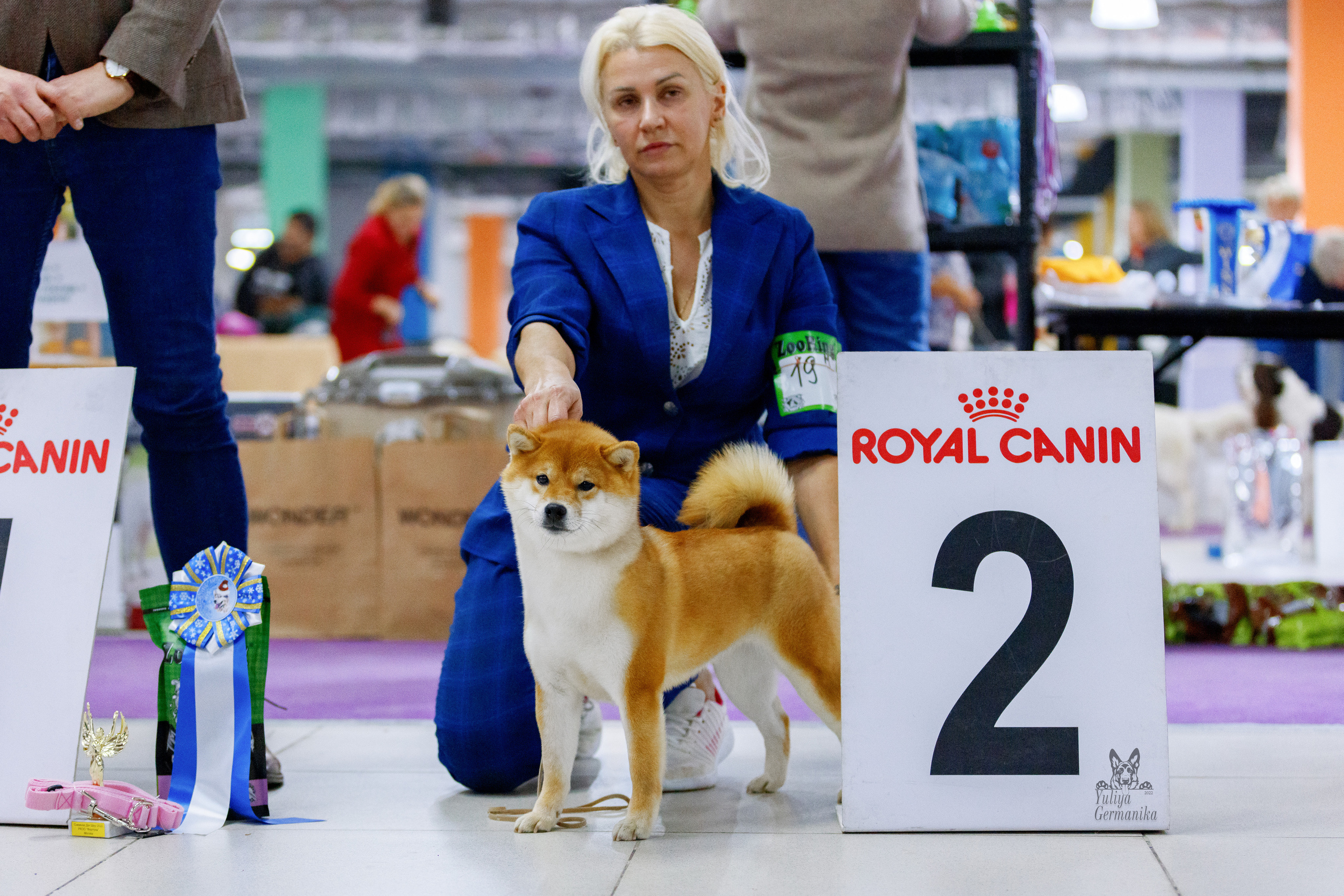 Чайна-Таун 3 и 10.12.2022. Фотограф-анималист Юлия Германика