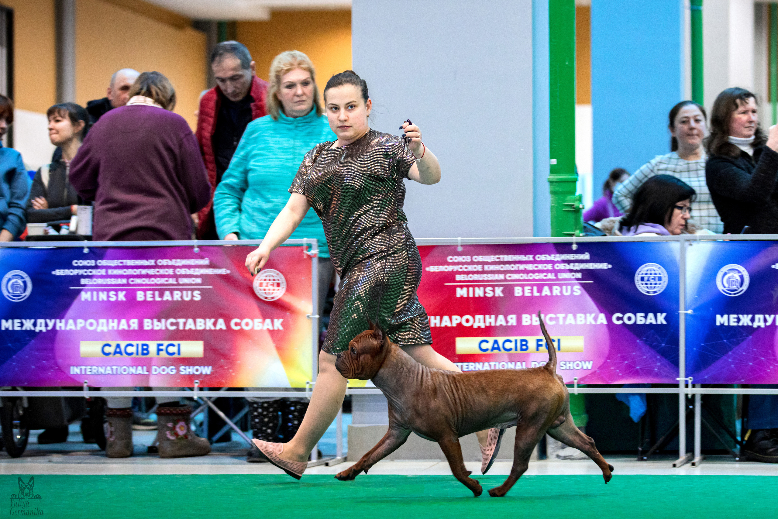 Минск 25-26.02.2023. Фотограф-анималист Юлия Германика