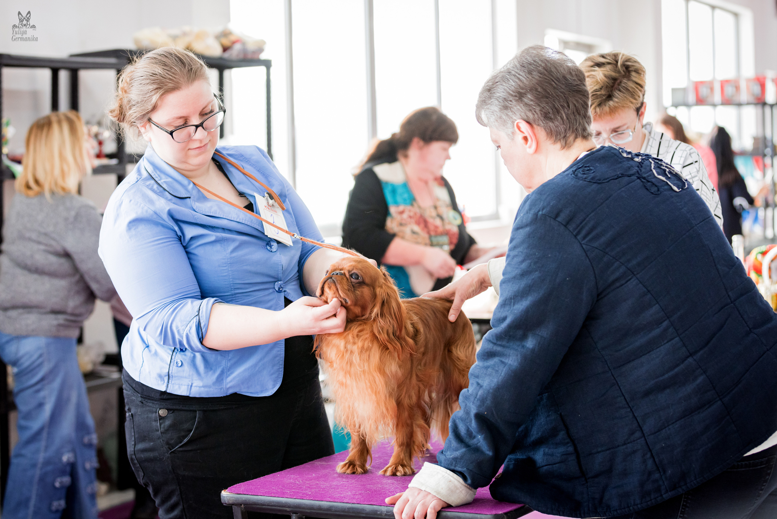 Можайский двор 11-12.02.2023. Фотограф-анималист Юлия Германика