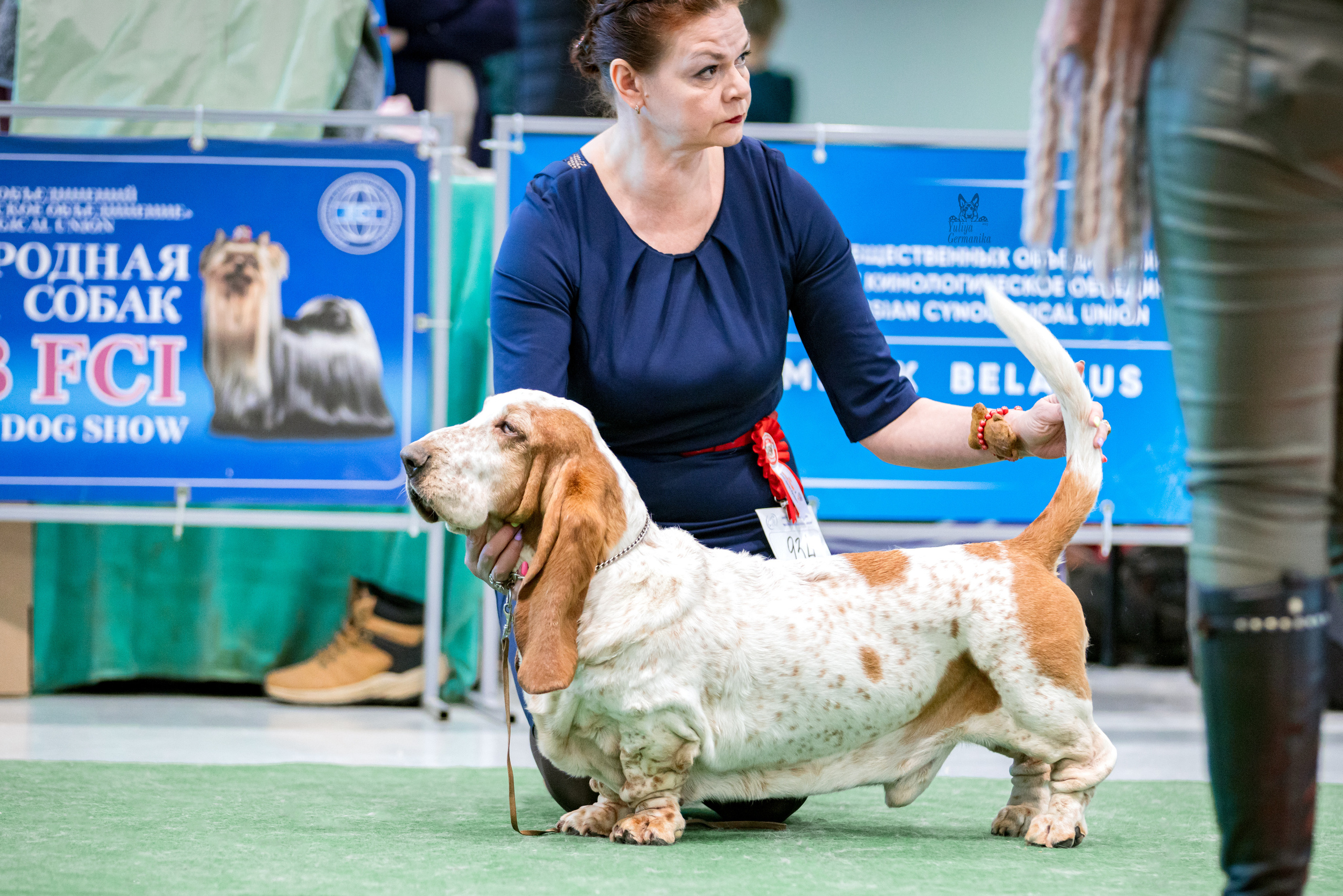 Минск 25-26.02.2023. Фотограф-анималист Юлия Германика