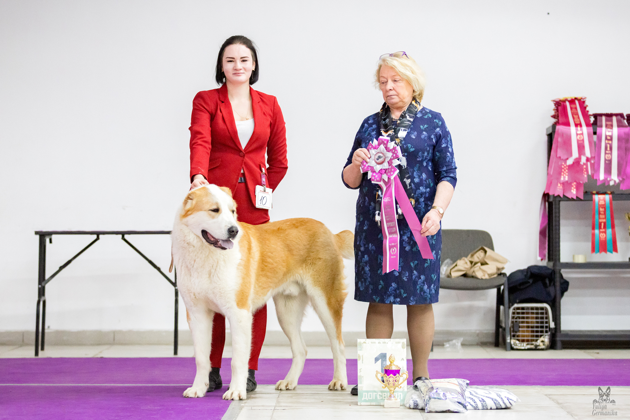 Чайна-Таун 5-8.01.2023. Фотограф-анималист Юлия Германика