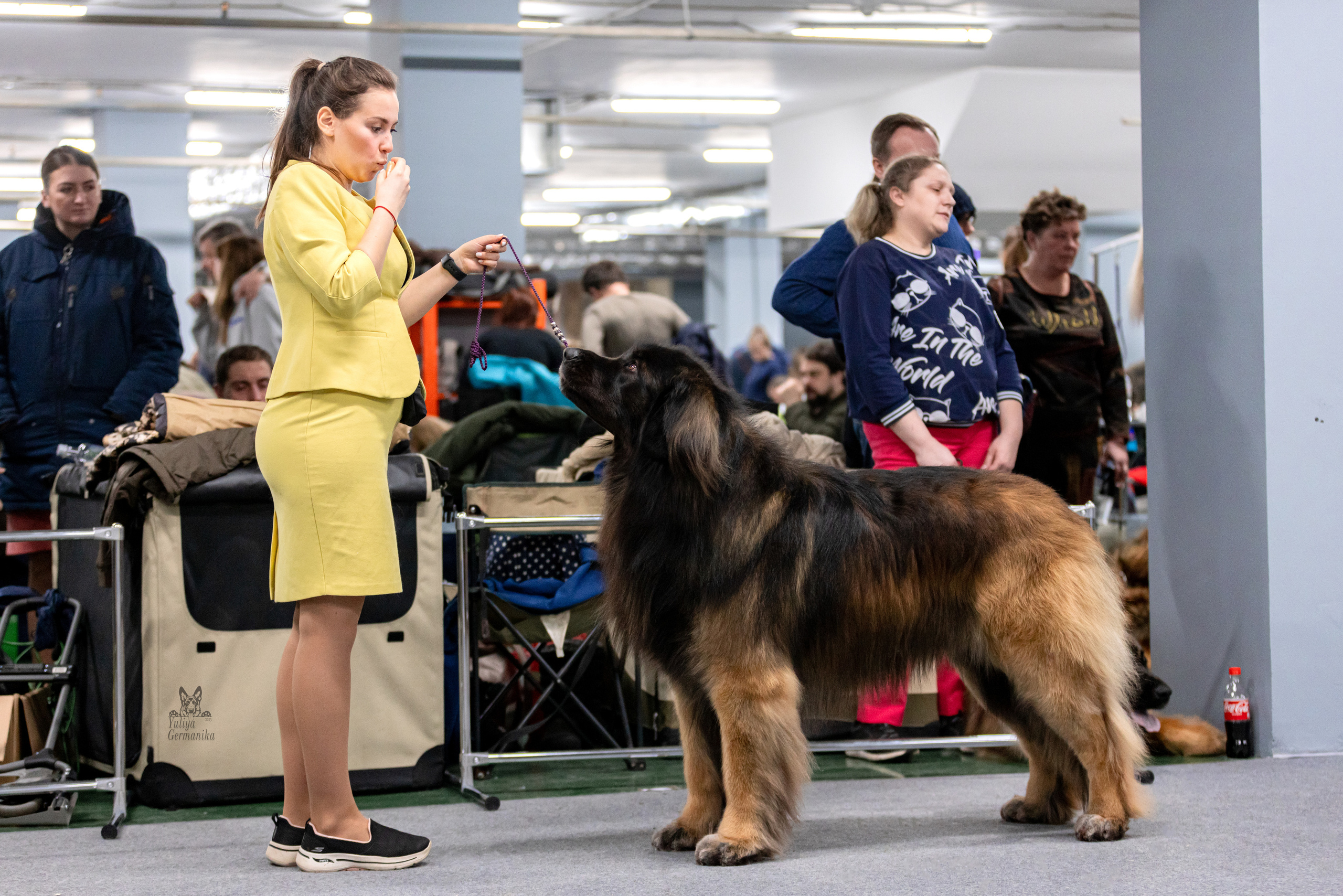 Сфера 5.03.2023. Фотограф-анималист Юлия Германика