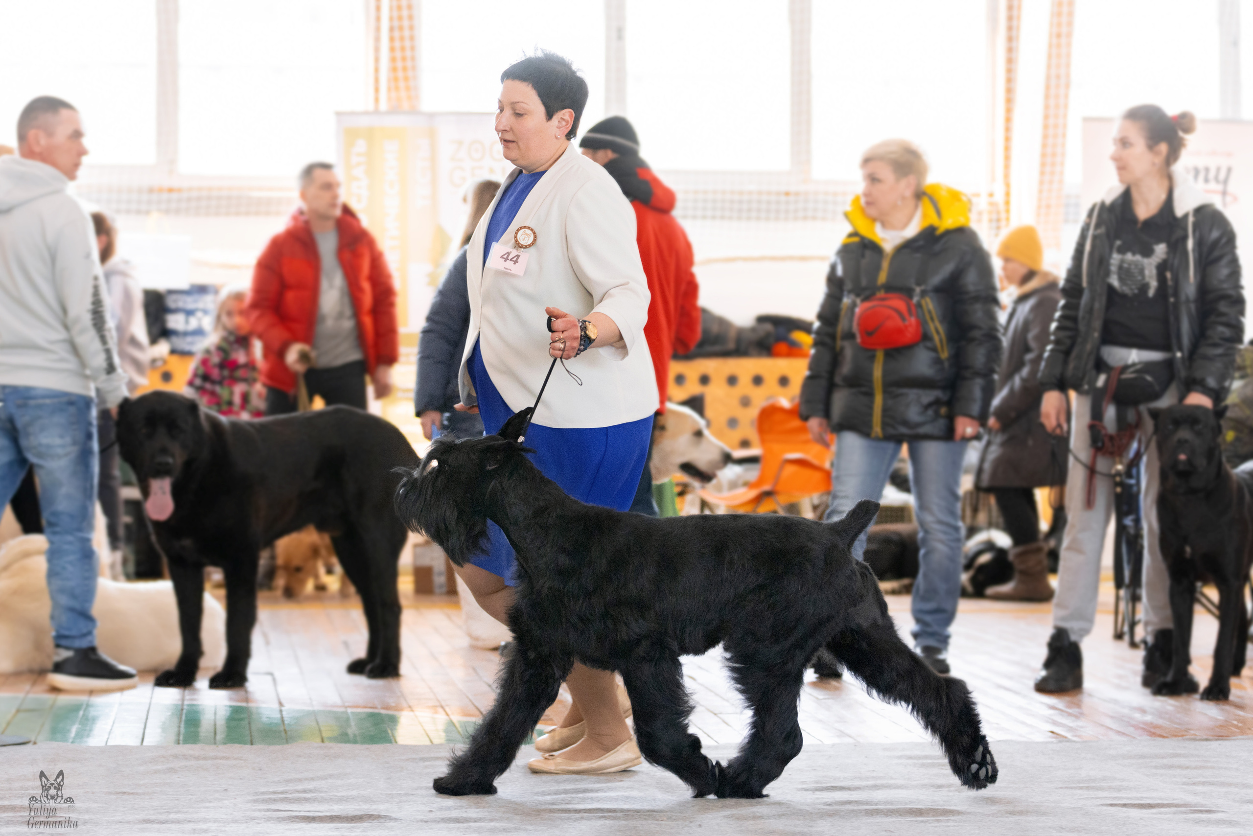 Тверь 19.03.2023. Фотограф-анималист Юлия Германика