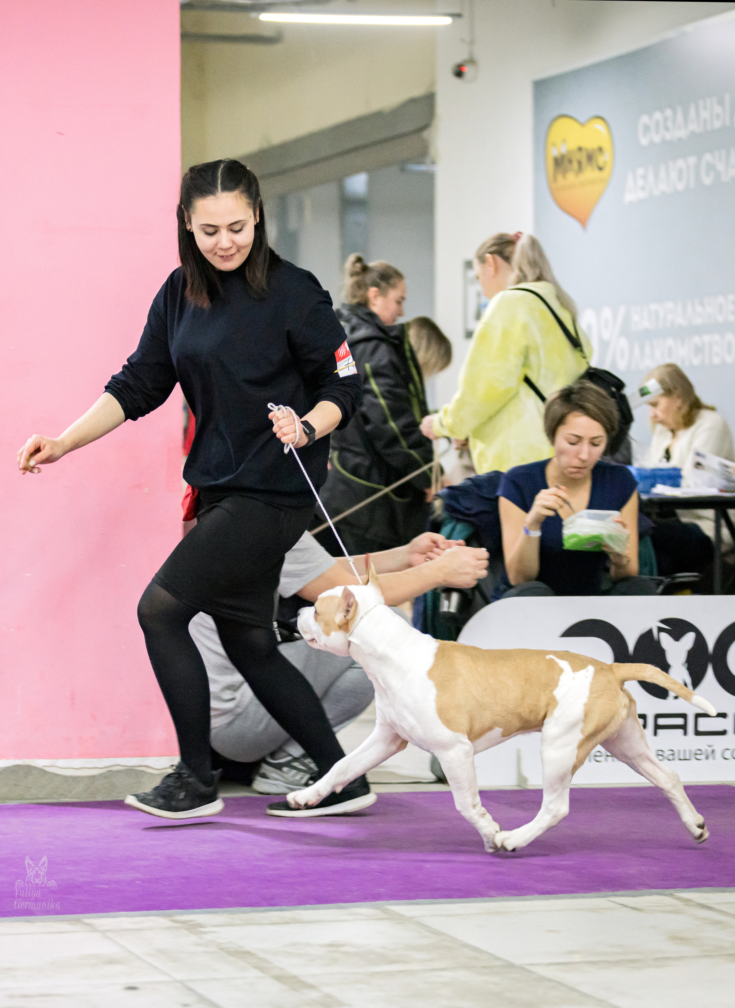 Чайна-Таун 15,21 и 22.01.2023. Фотограф-анималист Юлия Германика