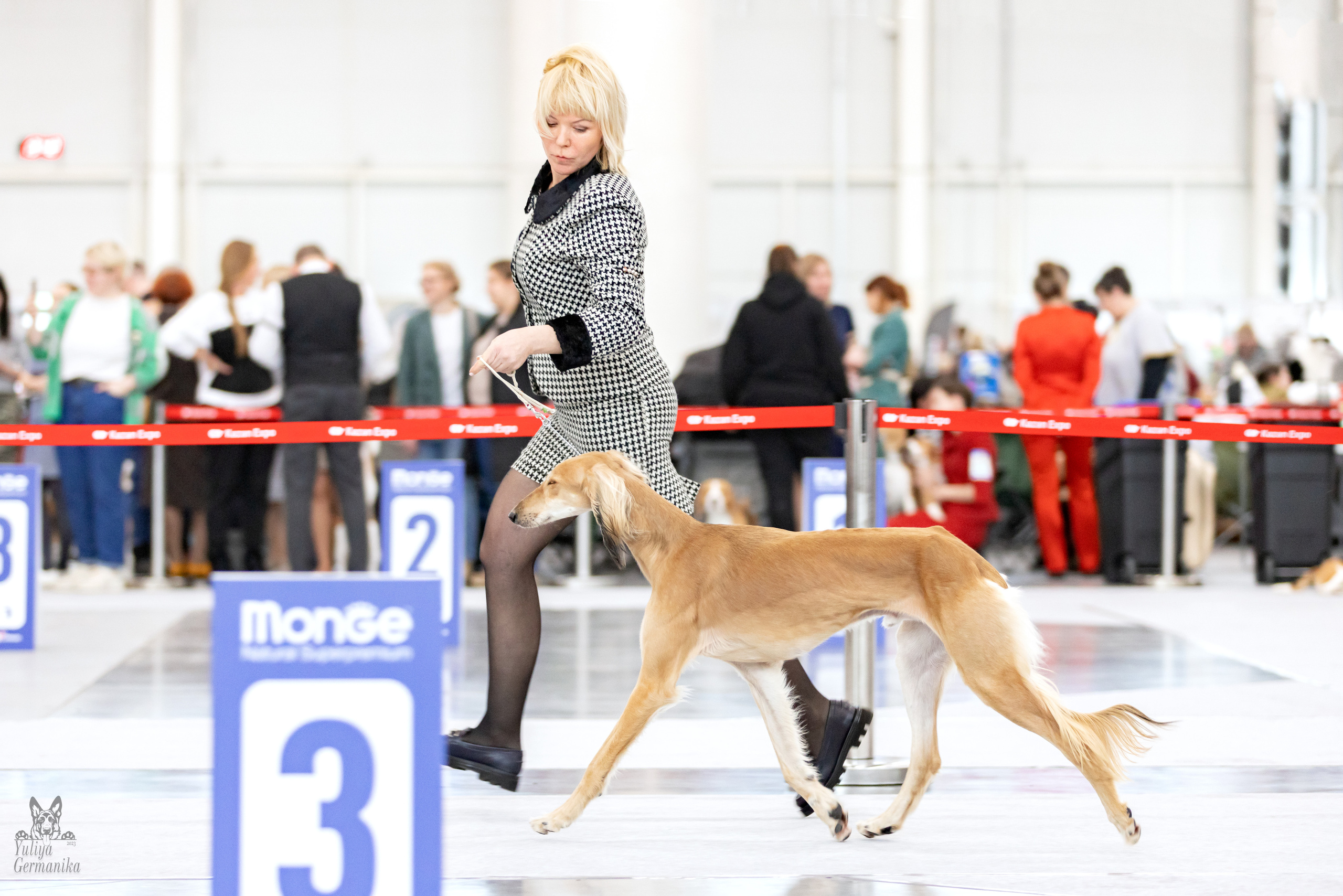 Сабанеевка,Казань 28-29.01.2023. Фотограф-анималист Юлия Германика