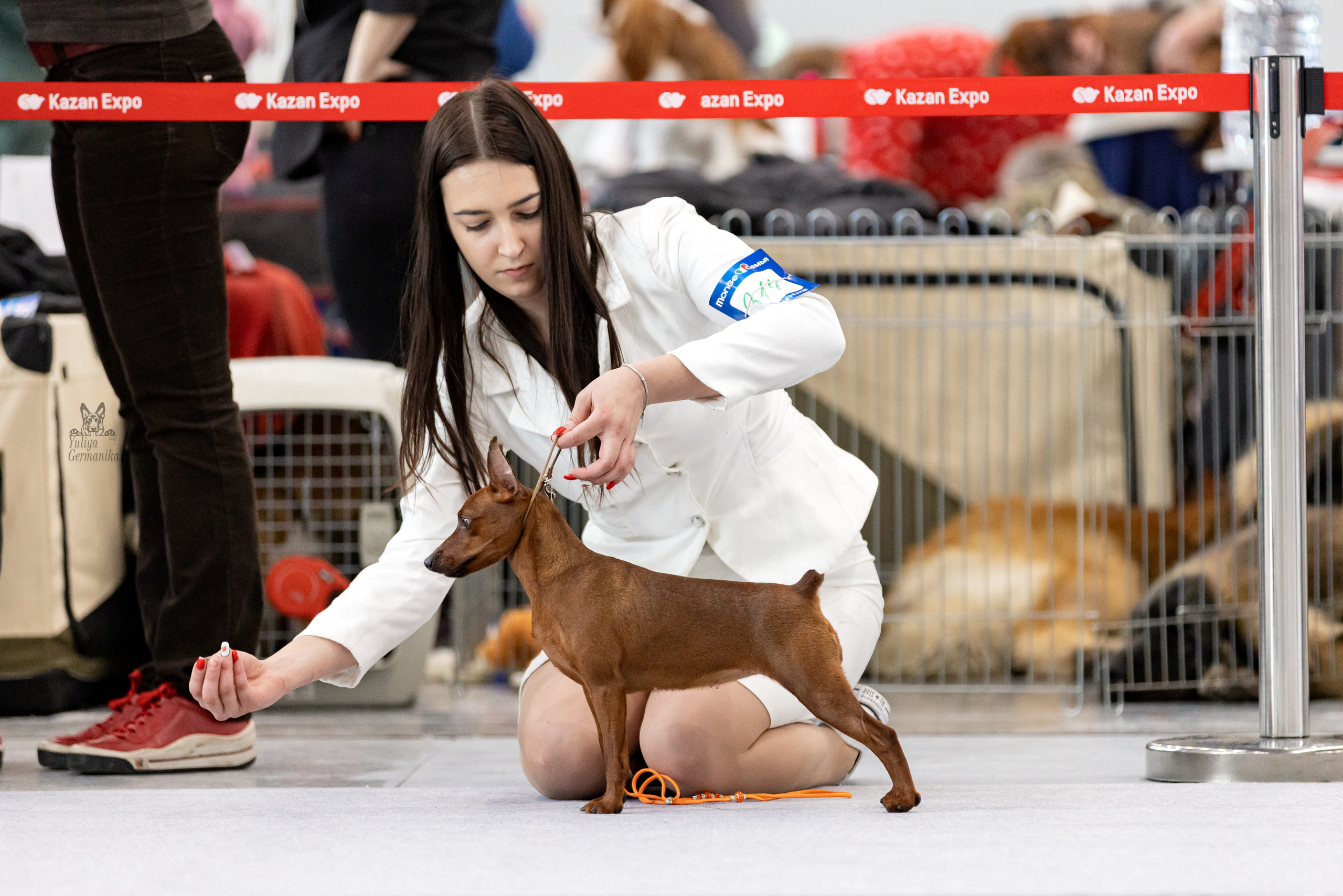 Сабанеевка,Казань 28-29.01.2023. Фотограф-анималист Юлия Германика