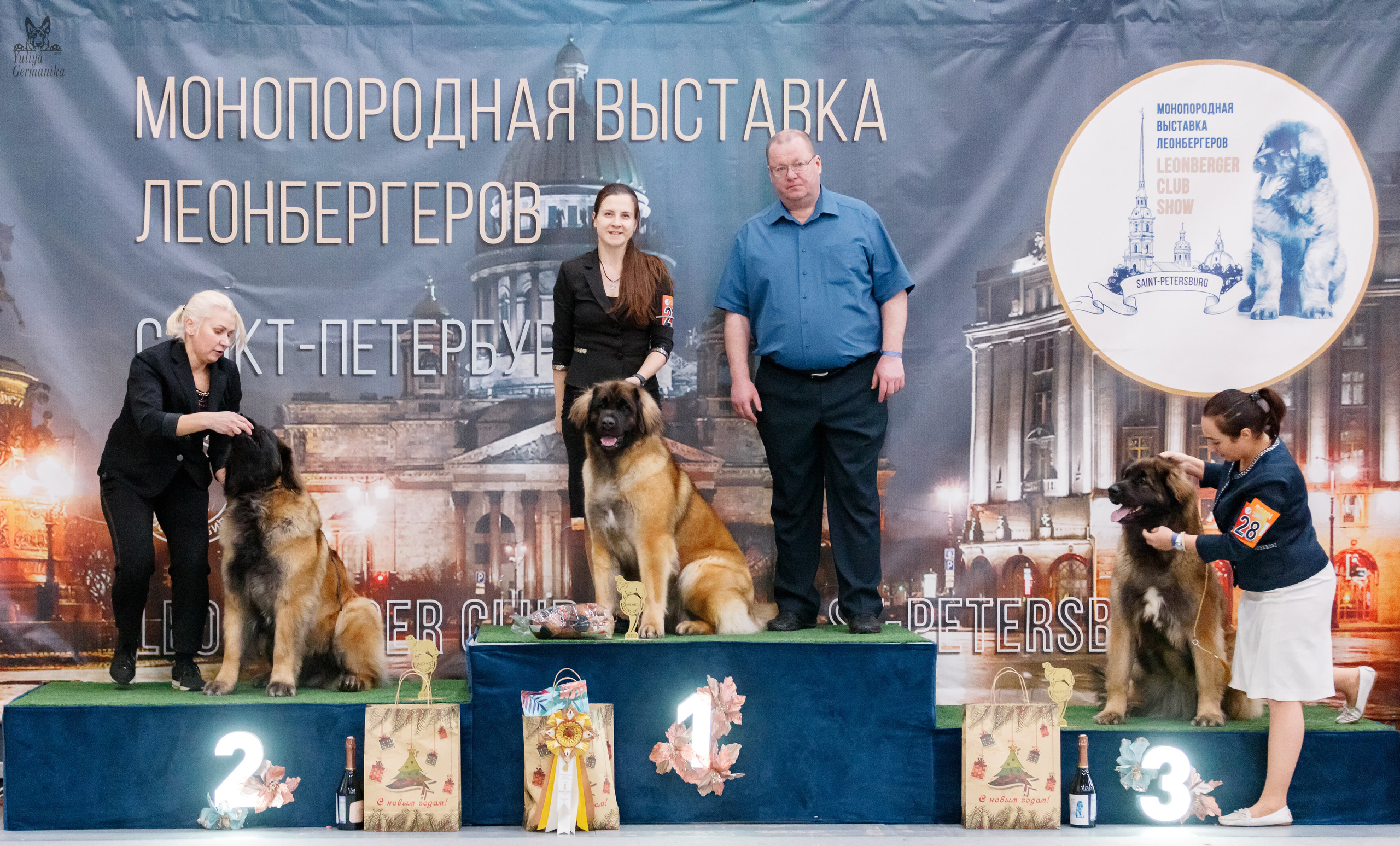 Питер 17-18.12.2022. Фотограф-анималист Юлия Германика