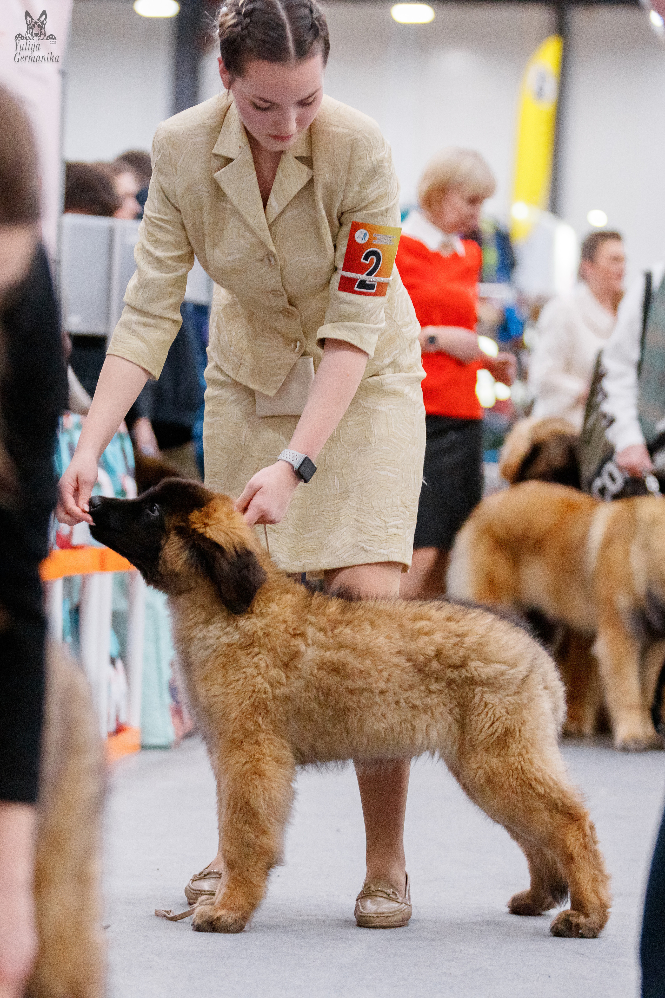 Питер 17-18.12.2022. Фотограф-анималист Юлия Германика