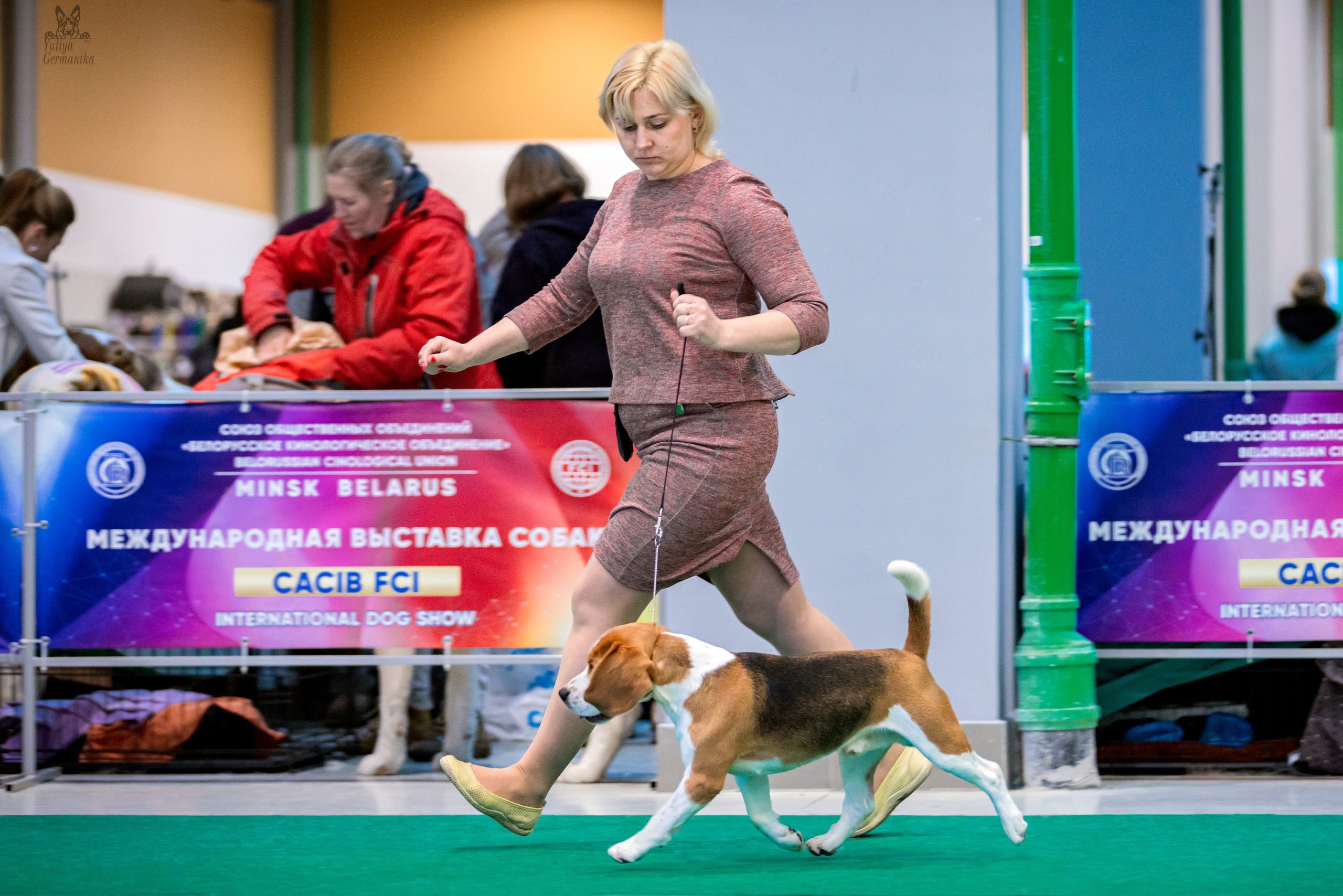 Минск 25-26.02.2023. Фотограф-анималист Юлия Германика