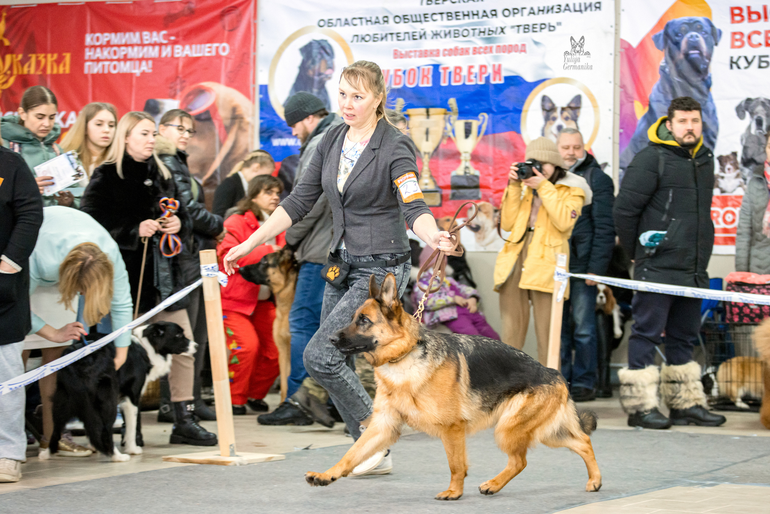 Тверь 19.02.2023. Фотограф-анималист Юлия Германика