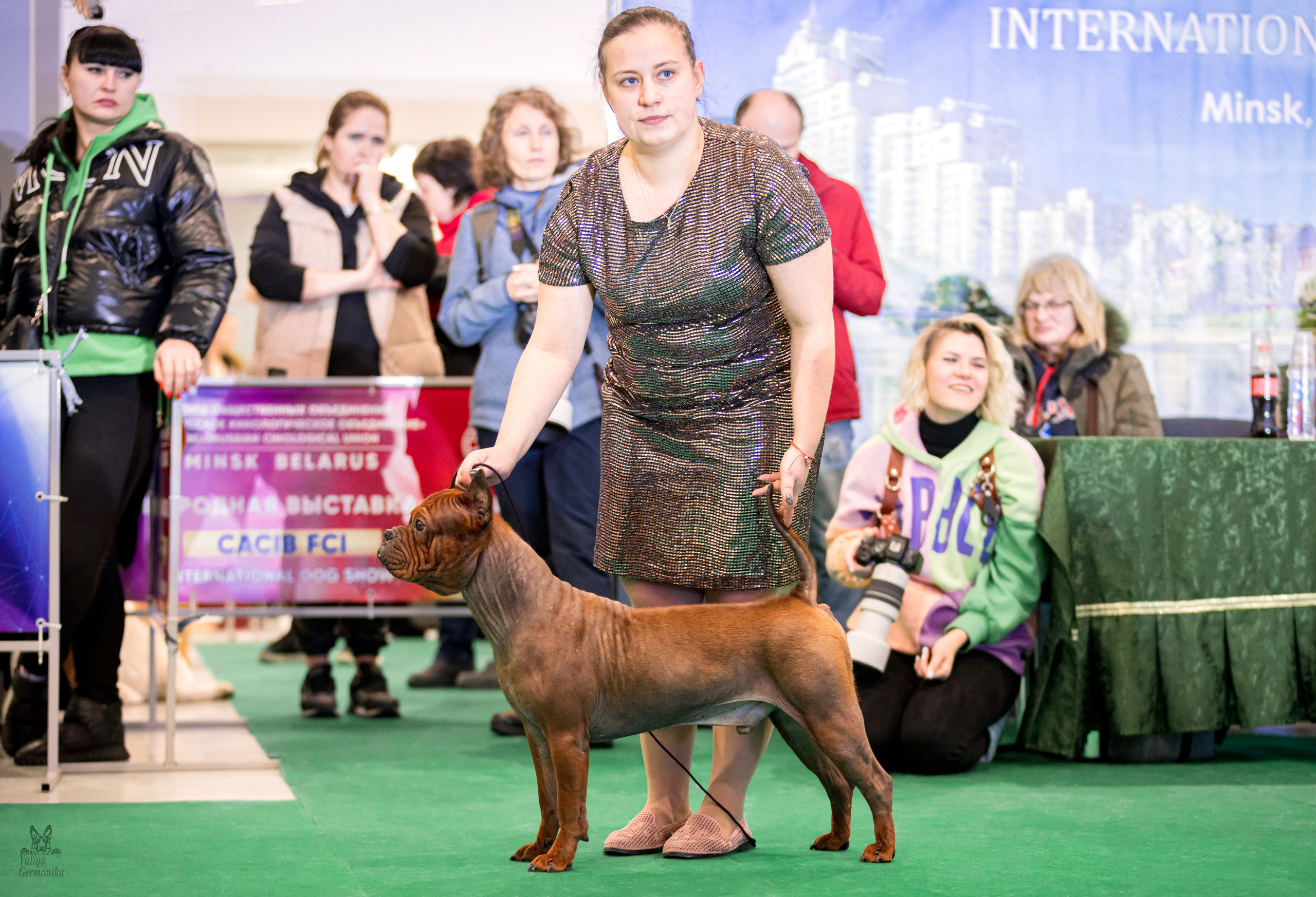 Минск 25-26.02.2023. Фотограф-анималист Юлия Германика