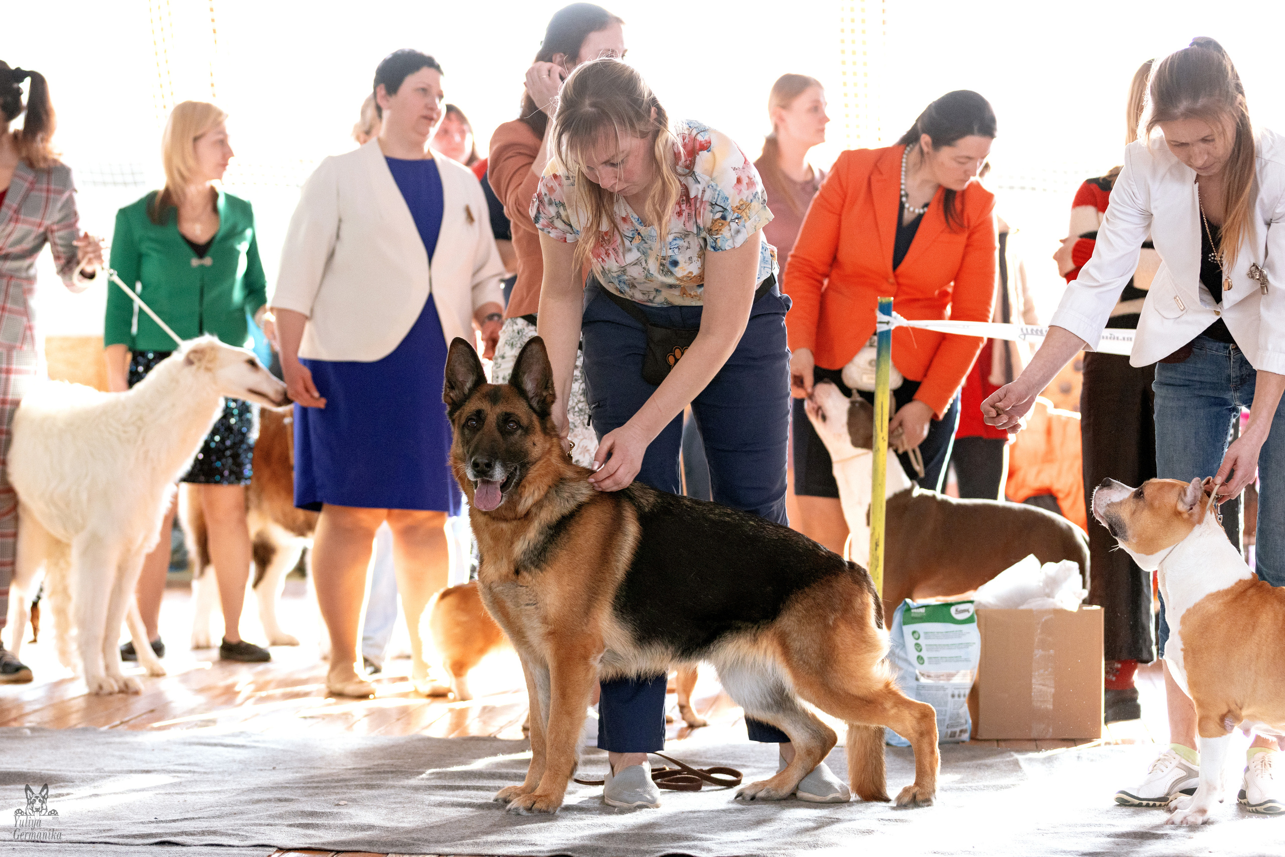 Тверь 19.03.2023. Фотограф-анималист Юлия Германика